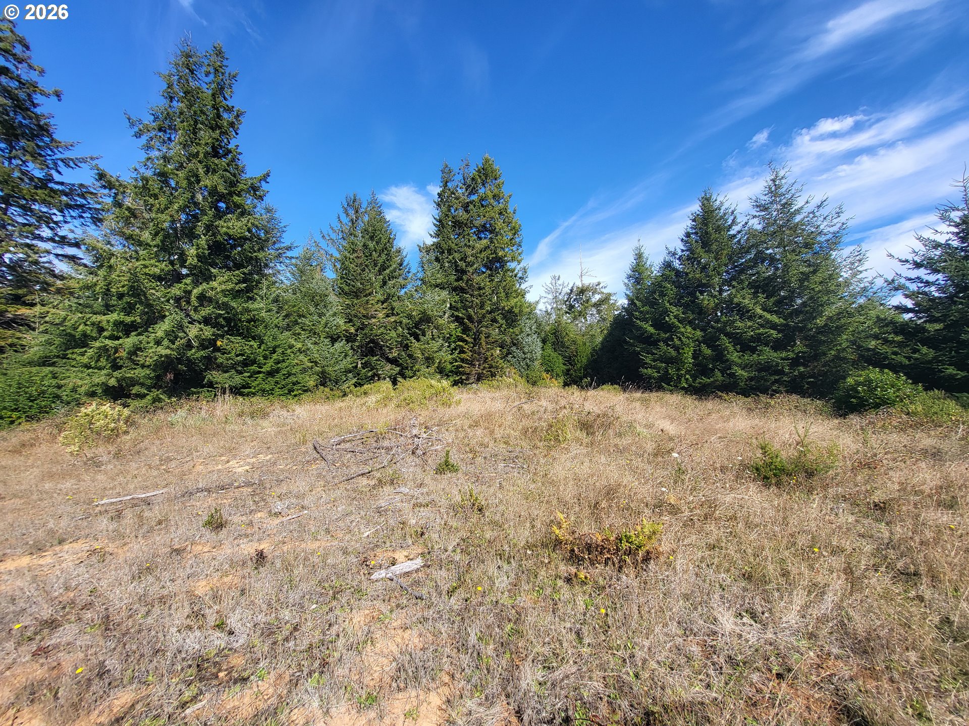93875 Hollow Stump Ln Property Photo 5