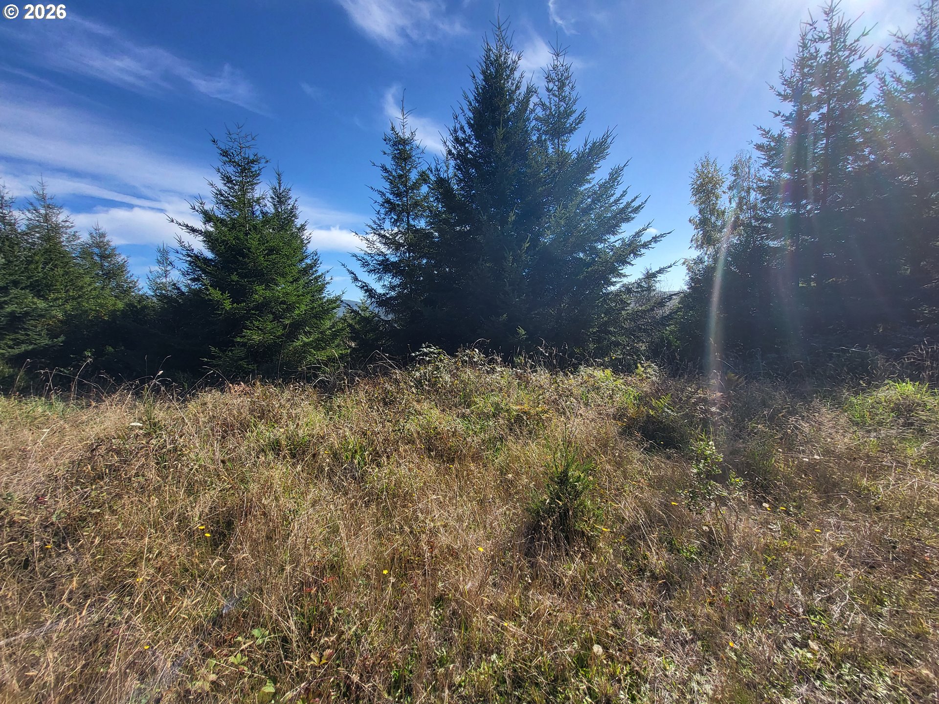93875 Hollow Stump Ln Property Photo 6
