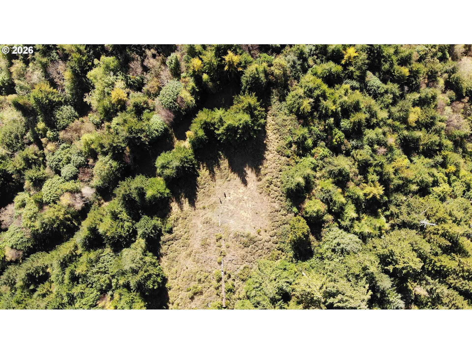 93875 Hollow Stump Ln Property Photo 7