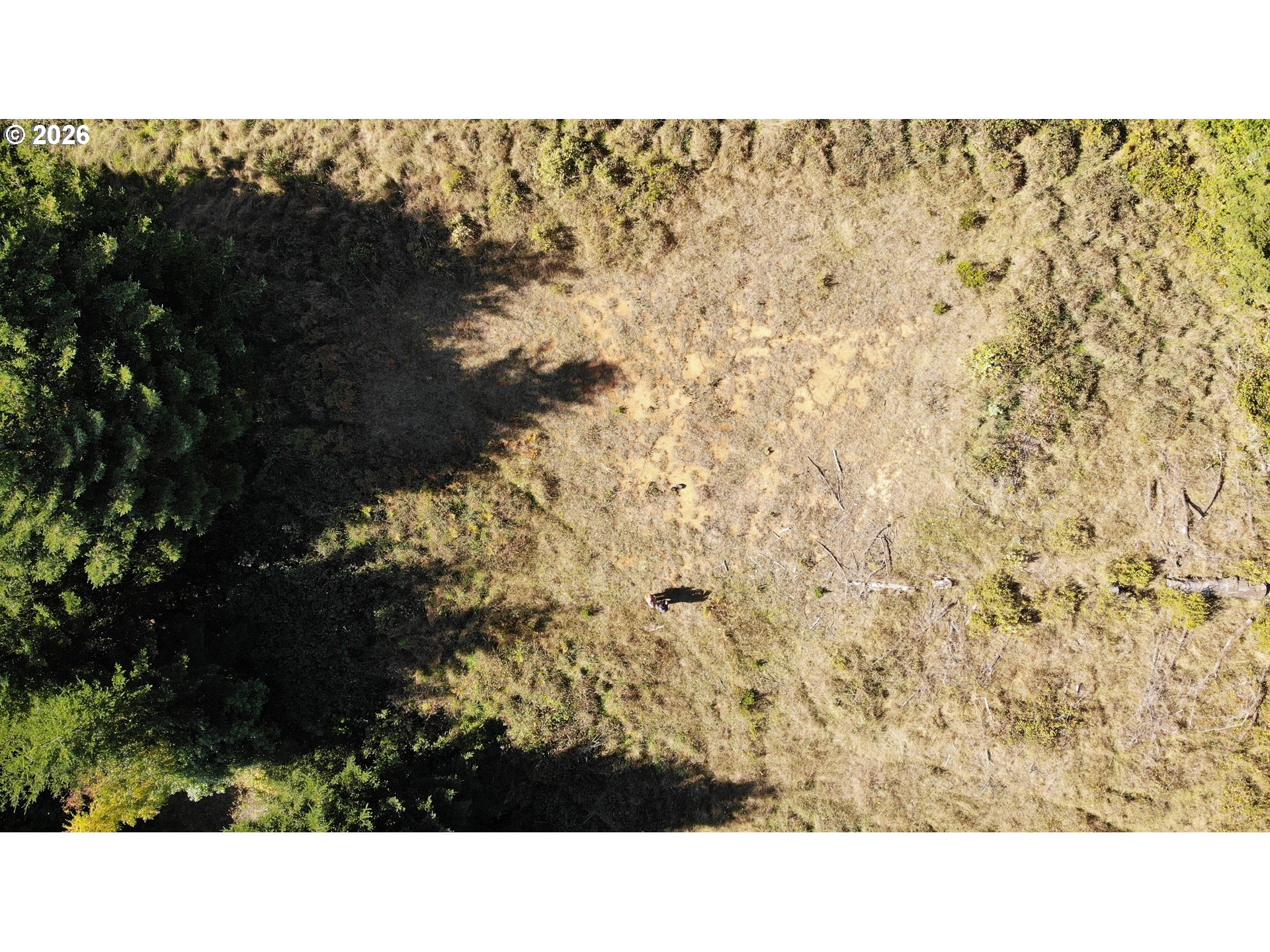 93875 Hollow Stump Ln Property Photo 9