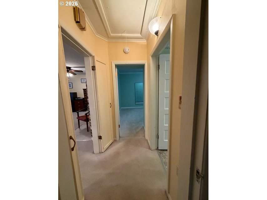 509 Monroe St Property Photo 10