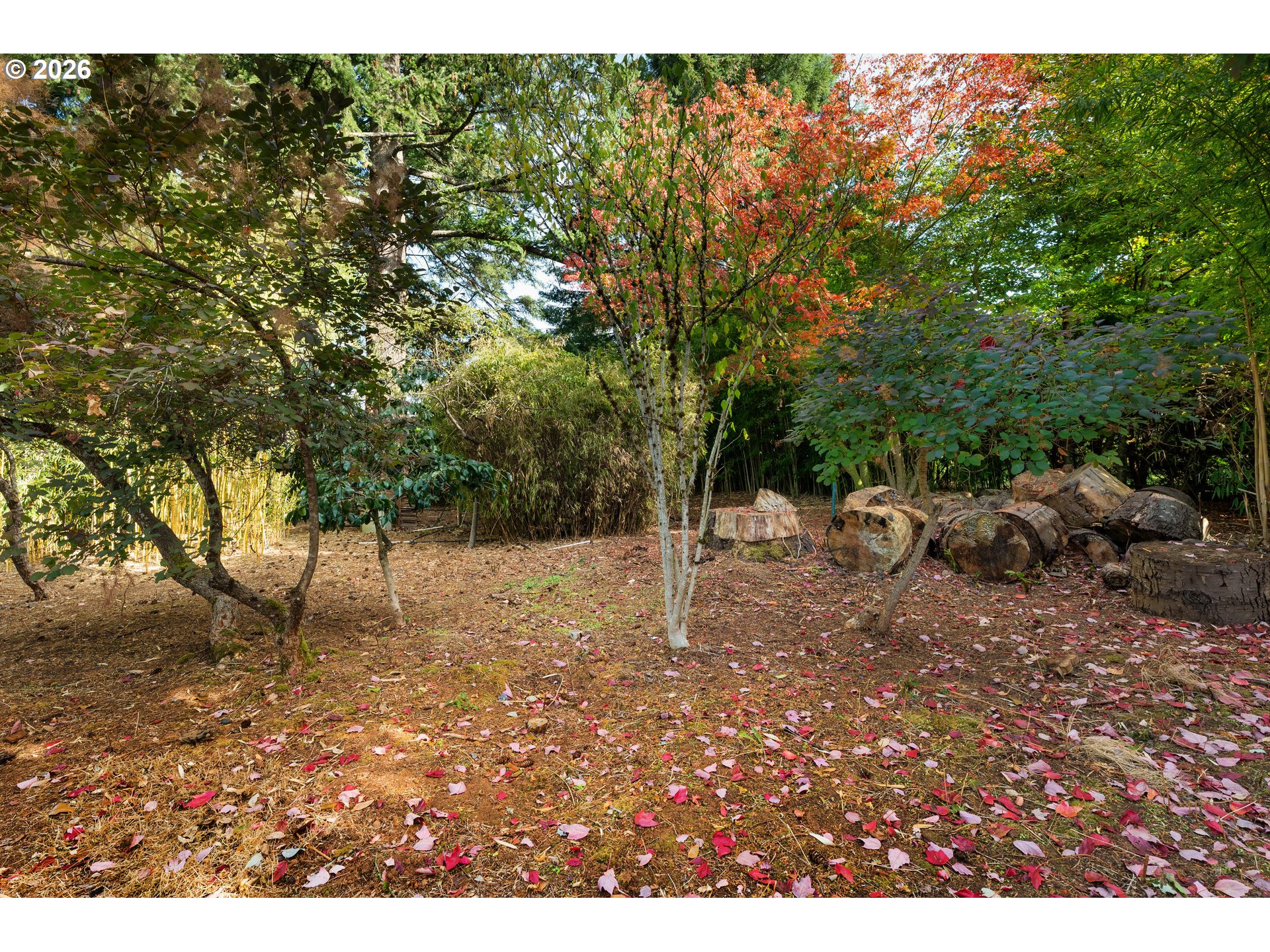 21520 S Lee Dr Property Photo 43