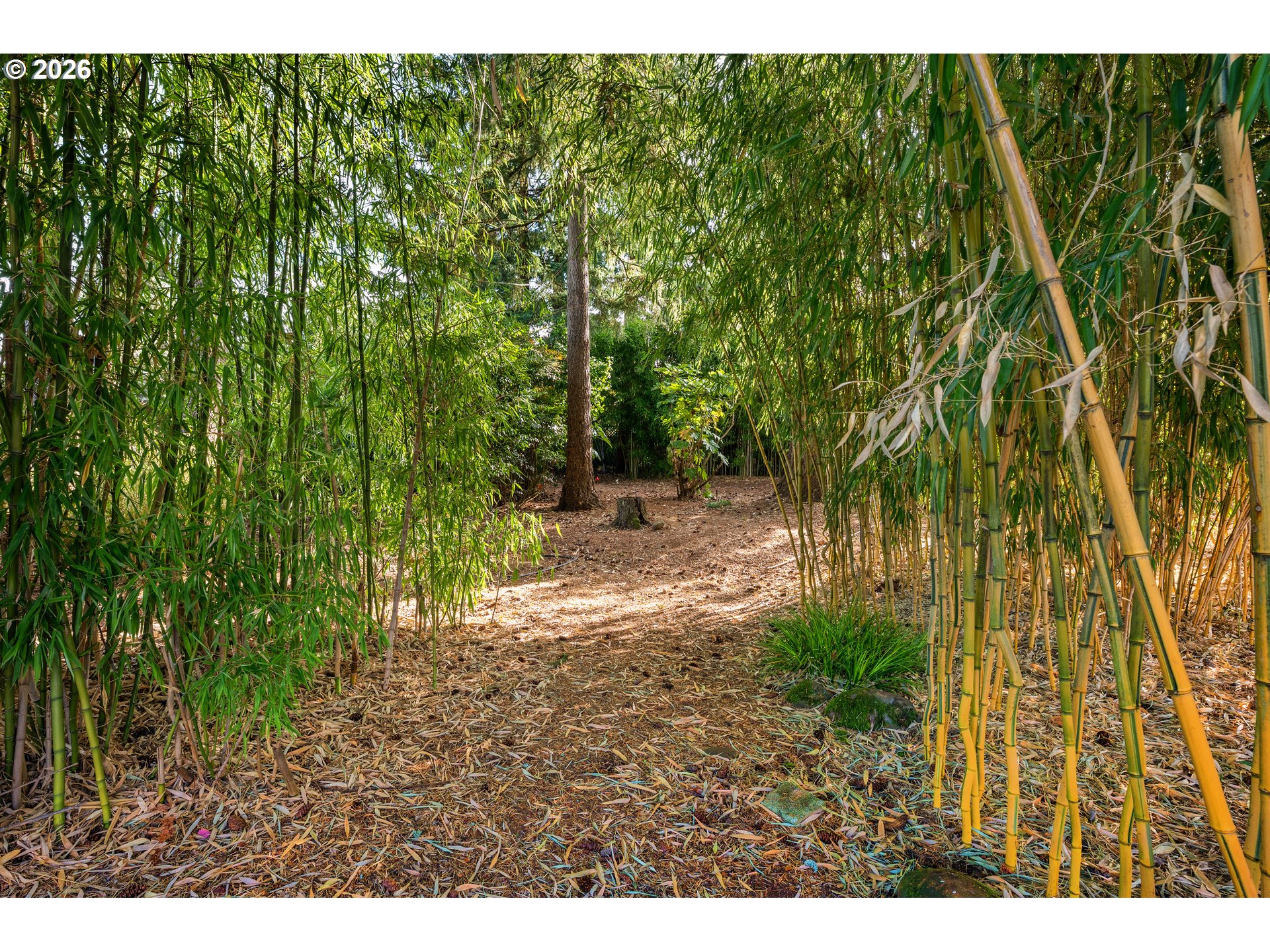 21520 S Lee Dr Property Photo 45
