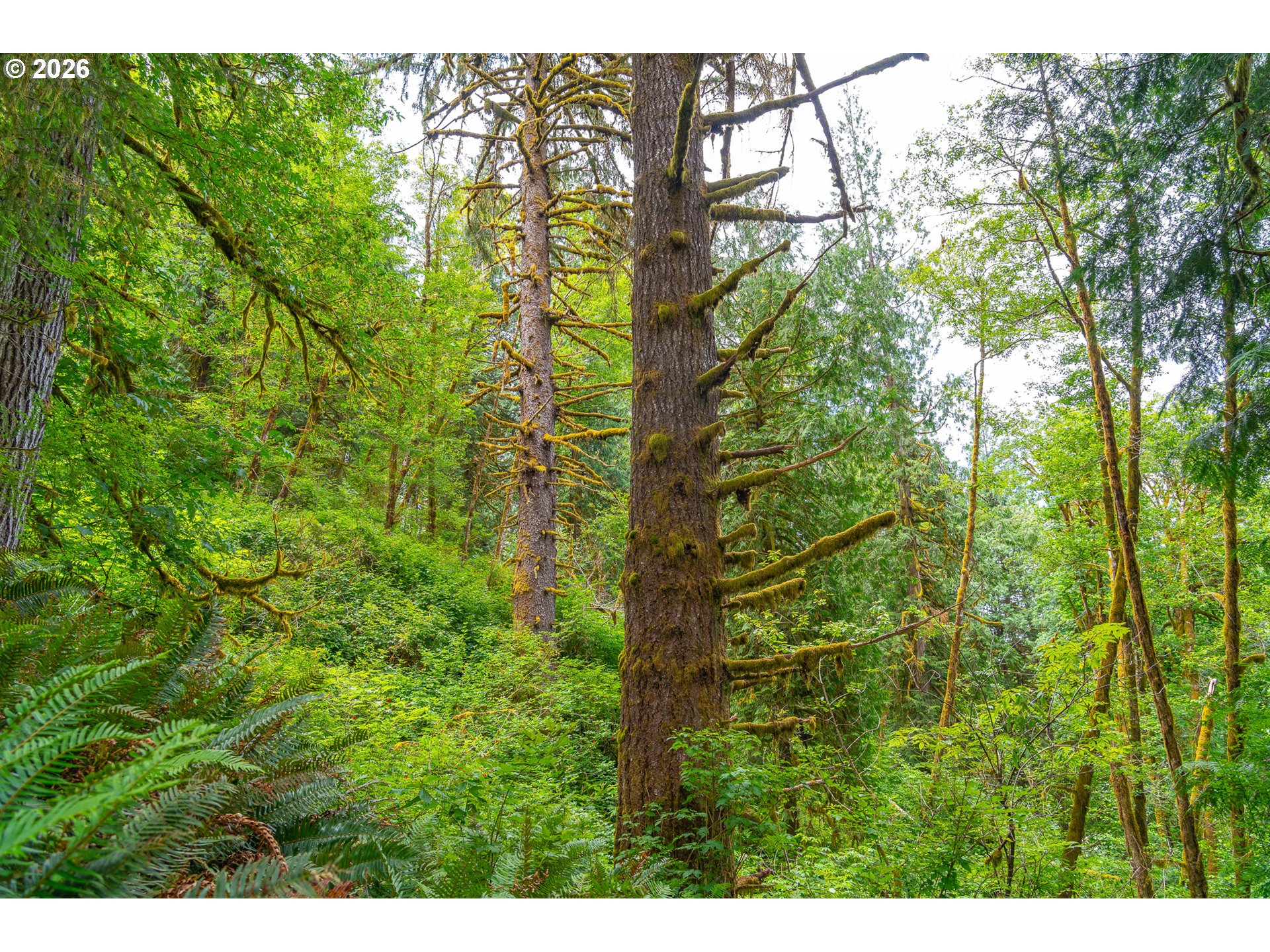 E Alsea Hwy Property Photo 29