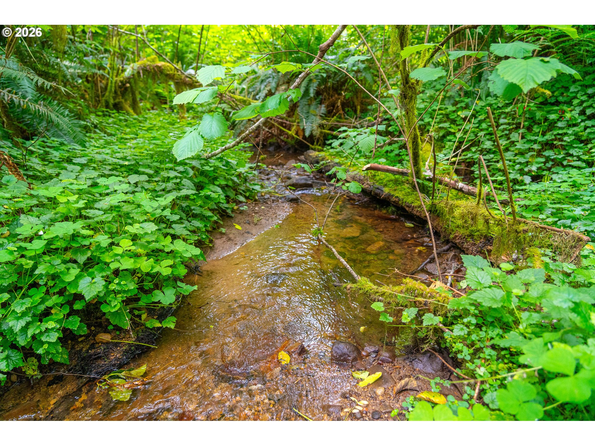 E Alsea Hwy Property Photo 32