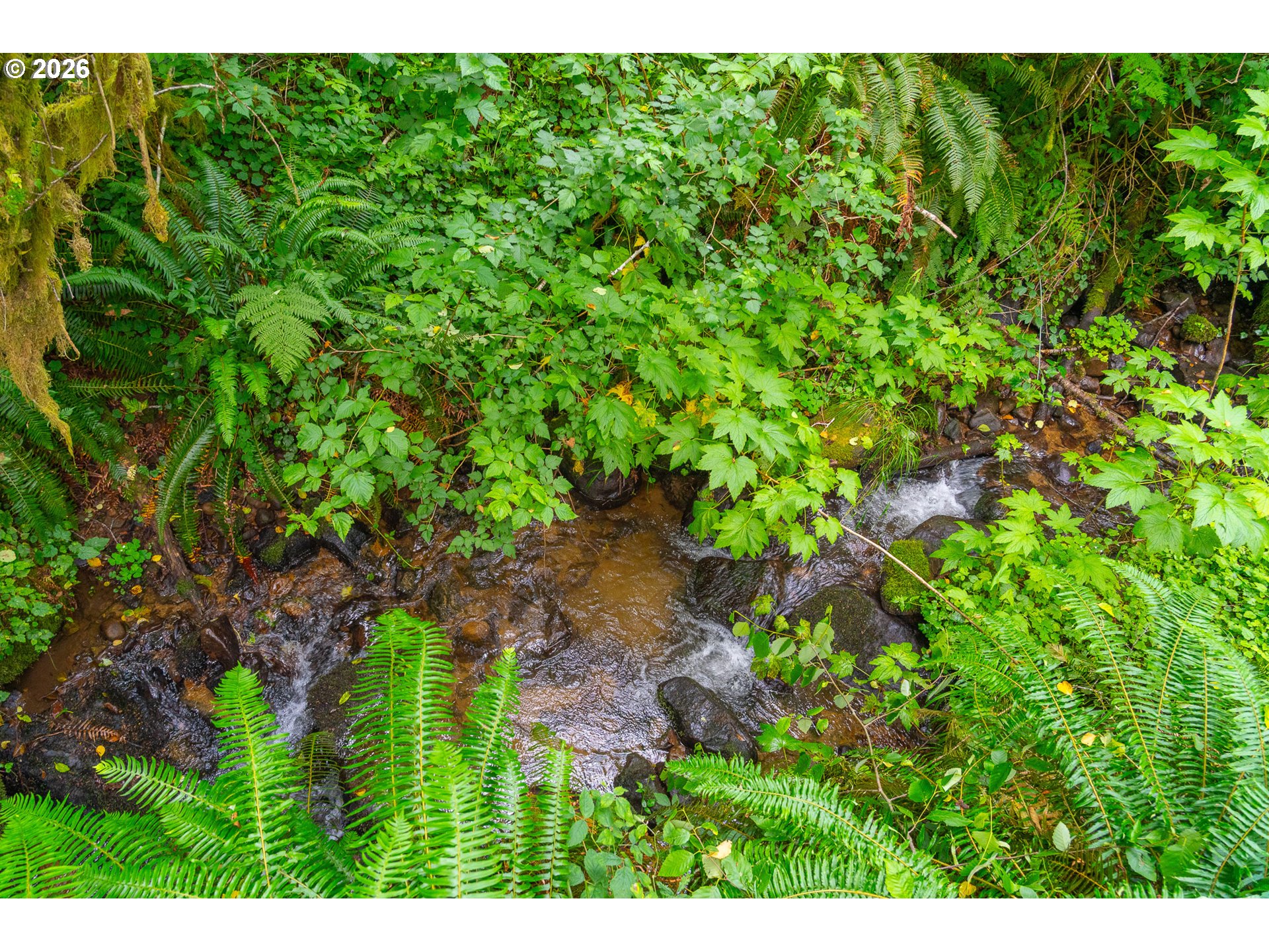 E Alsea Hwy Property Photo 33