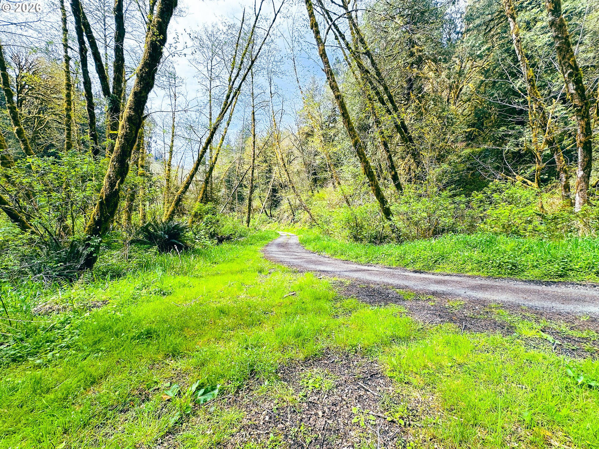 E Alsea Hwy Property Photo 36