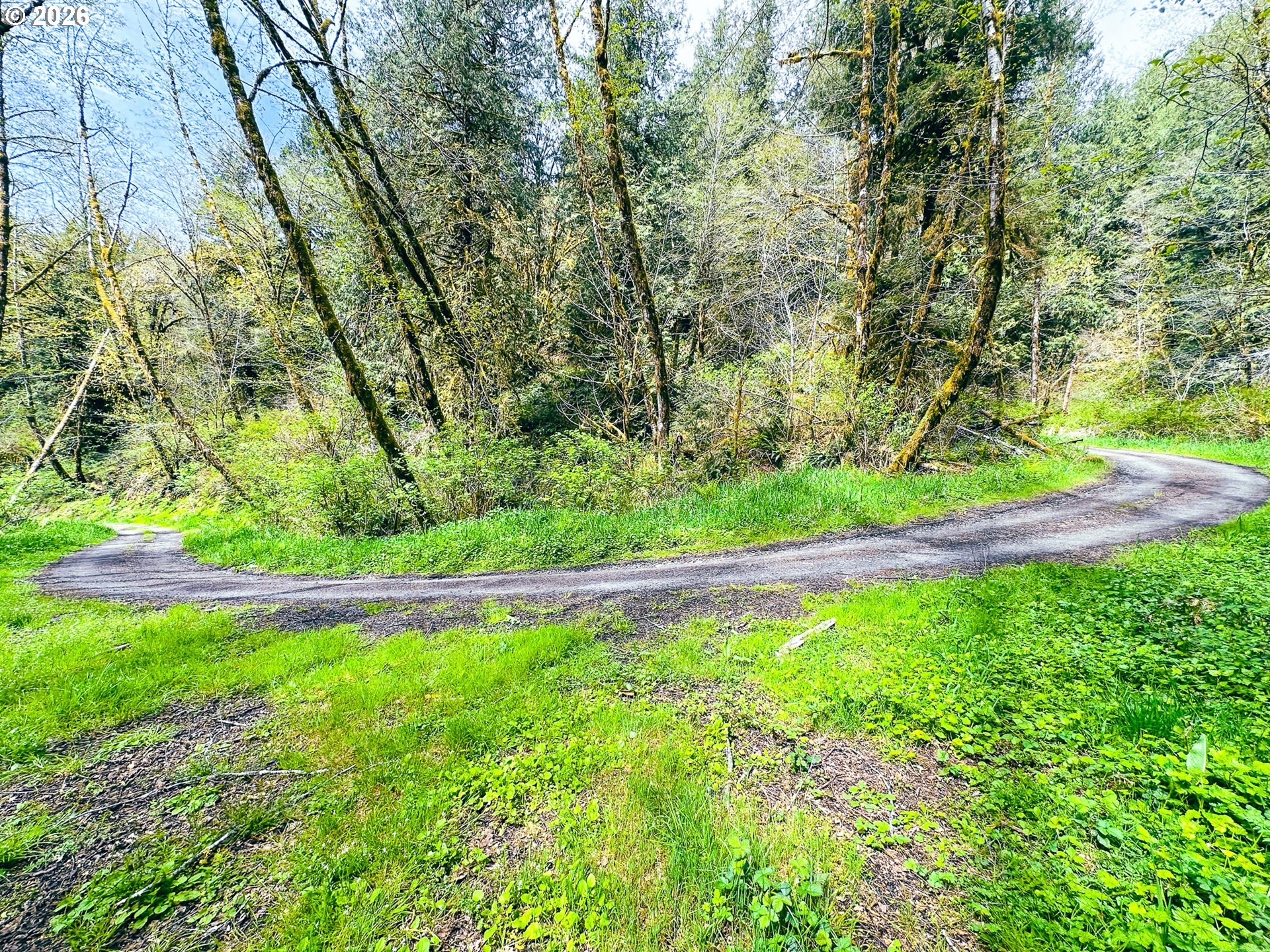 E Alsea Hwy Property Photo 37