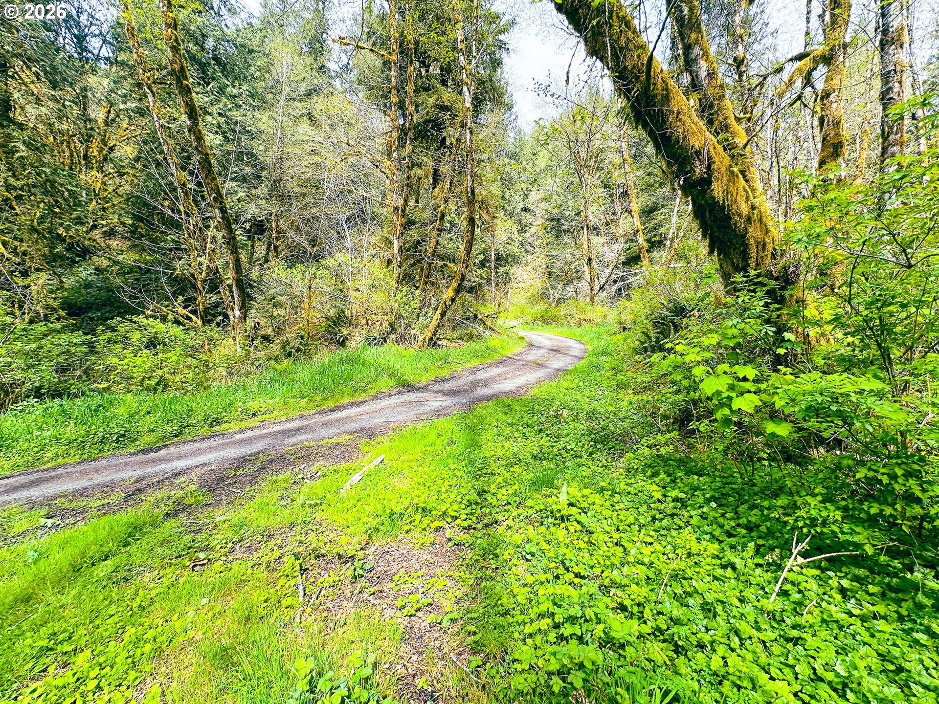 E Alsea Hwy Property Photo 38
