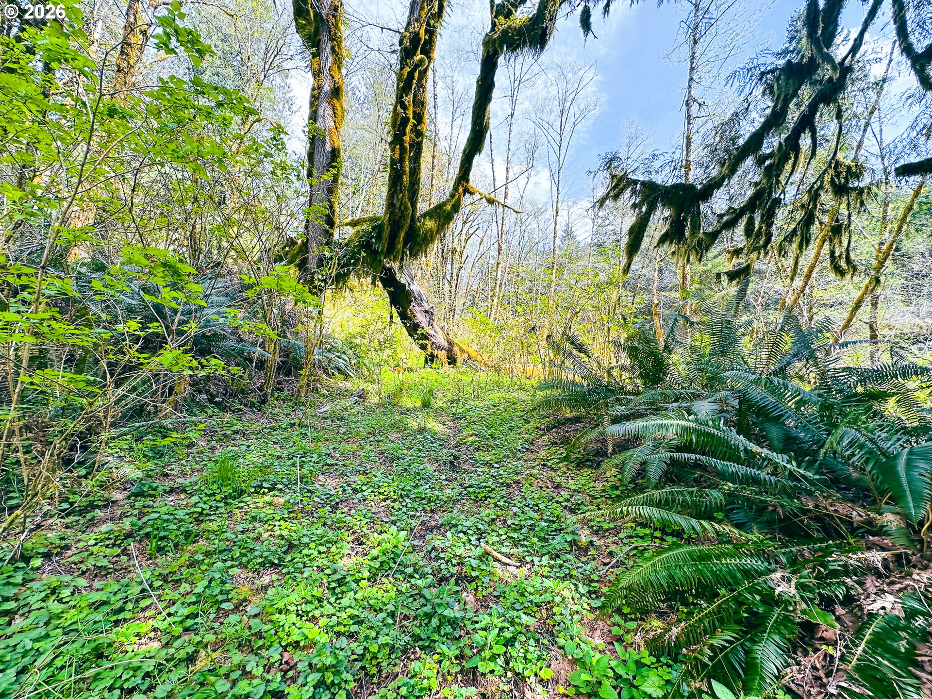 E Alsea Hwy Property Photo 39
