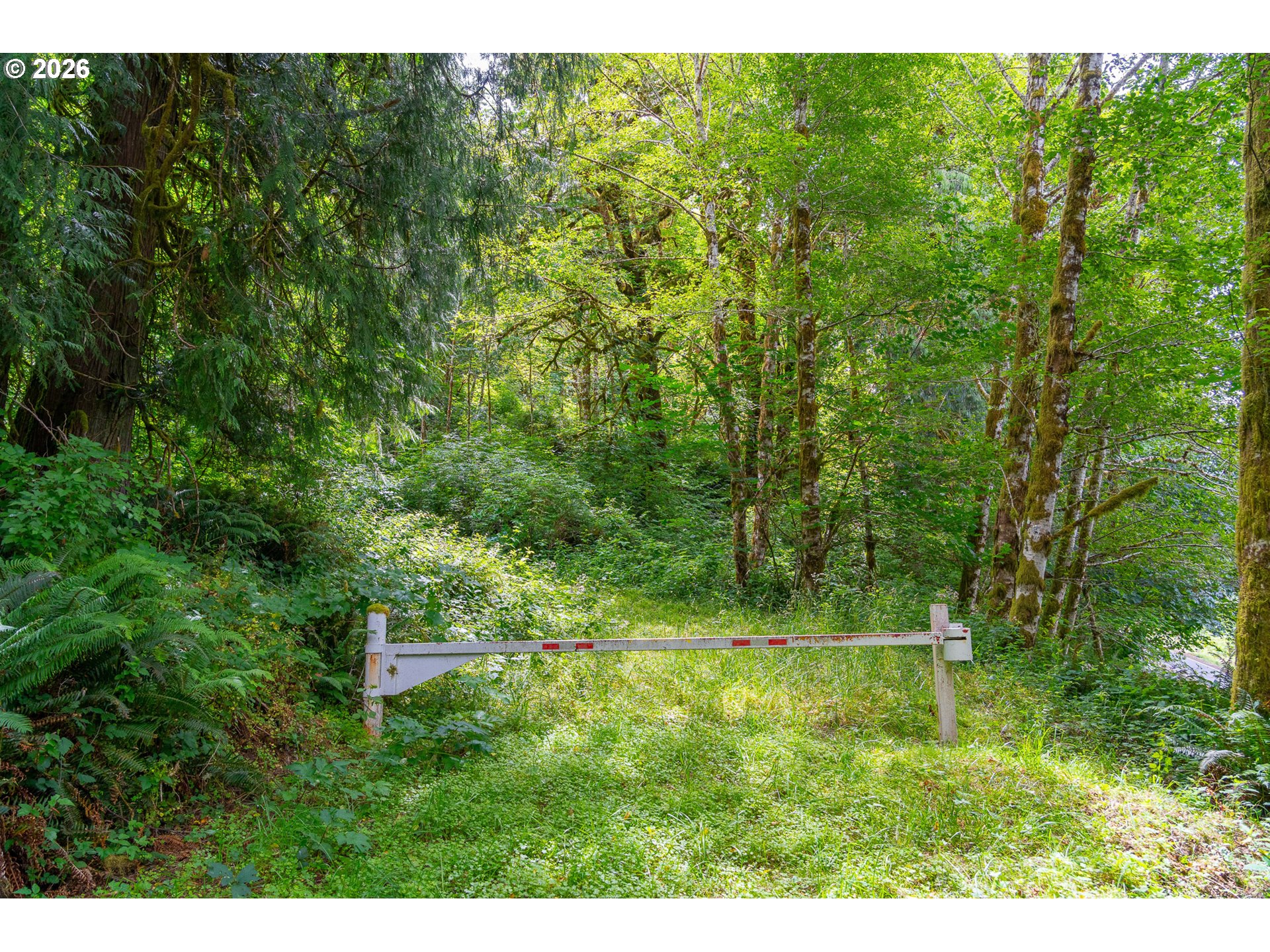 E Alsea Hwy Property Photo 46
