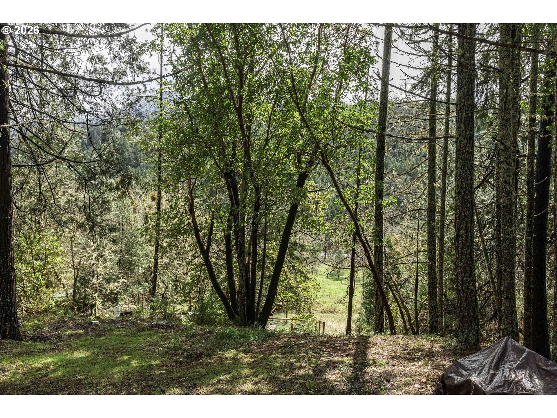3866 Placer Rd Property Photo 24