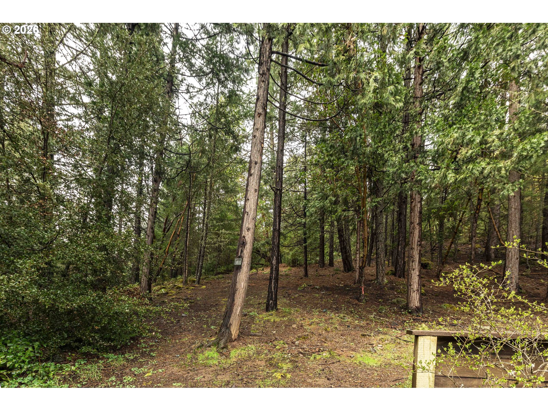 3866 Placer Rd Property Photo 26