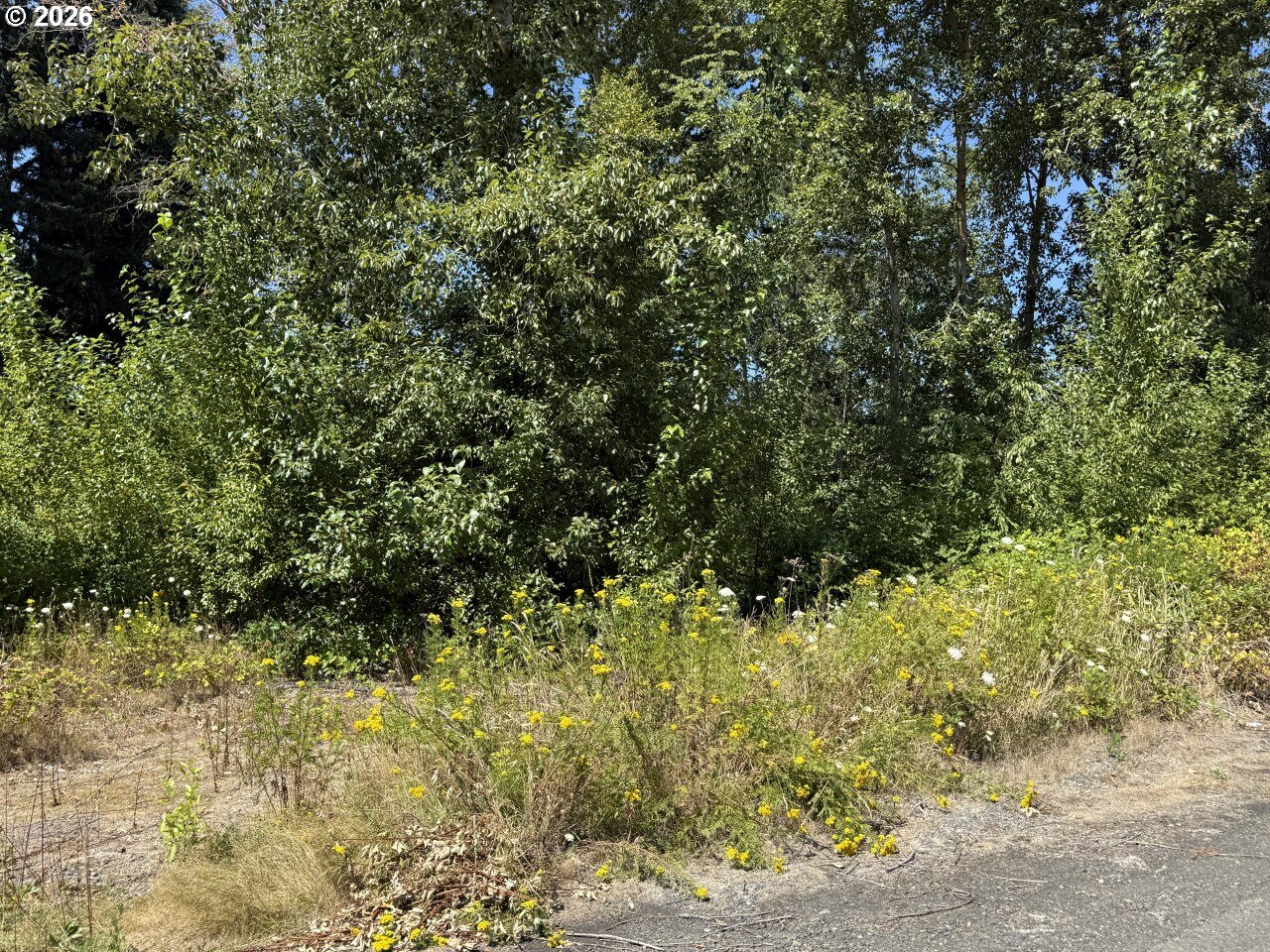 W Powell Loop Property Photo 3
