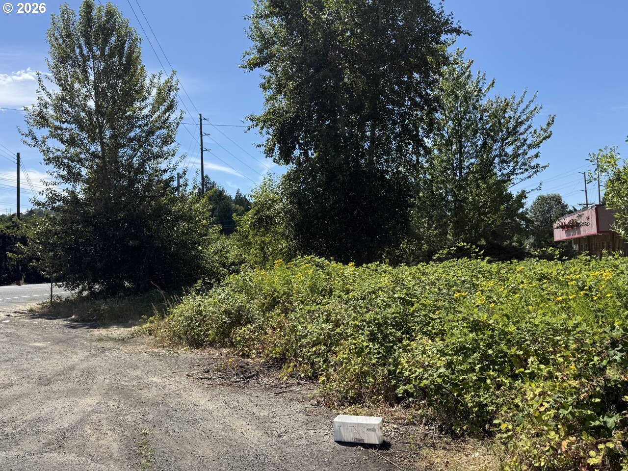 W Powell Loop Property Photo 4