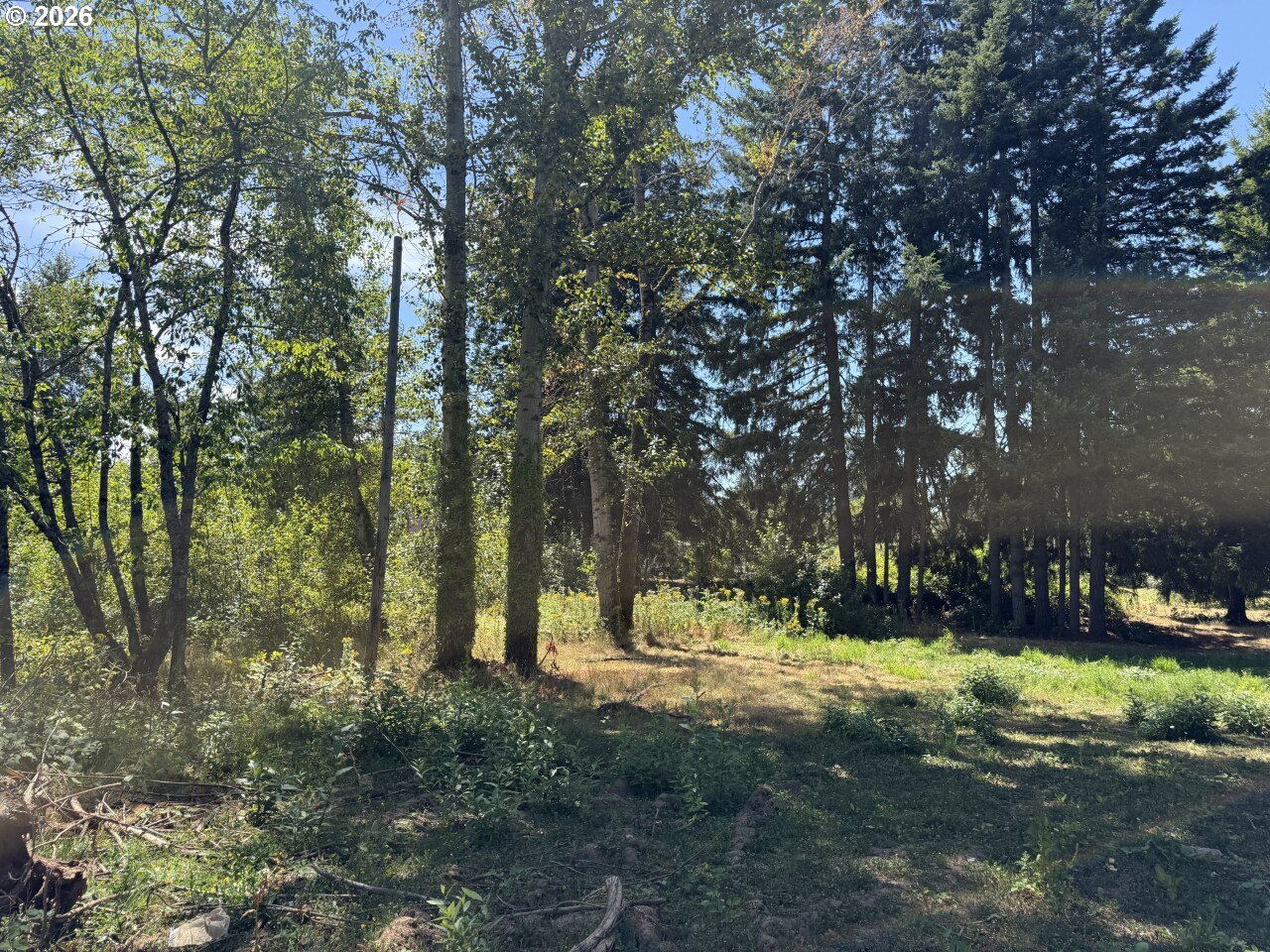W Powell Loop Property Photo 5