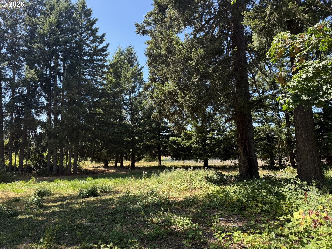 W Powell Loop Property Photo 6