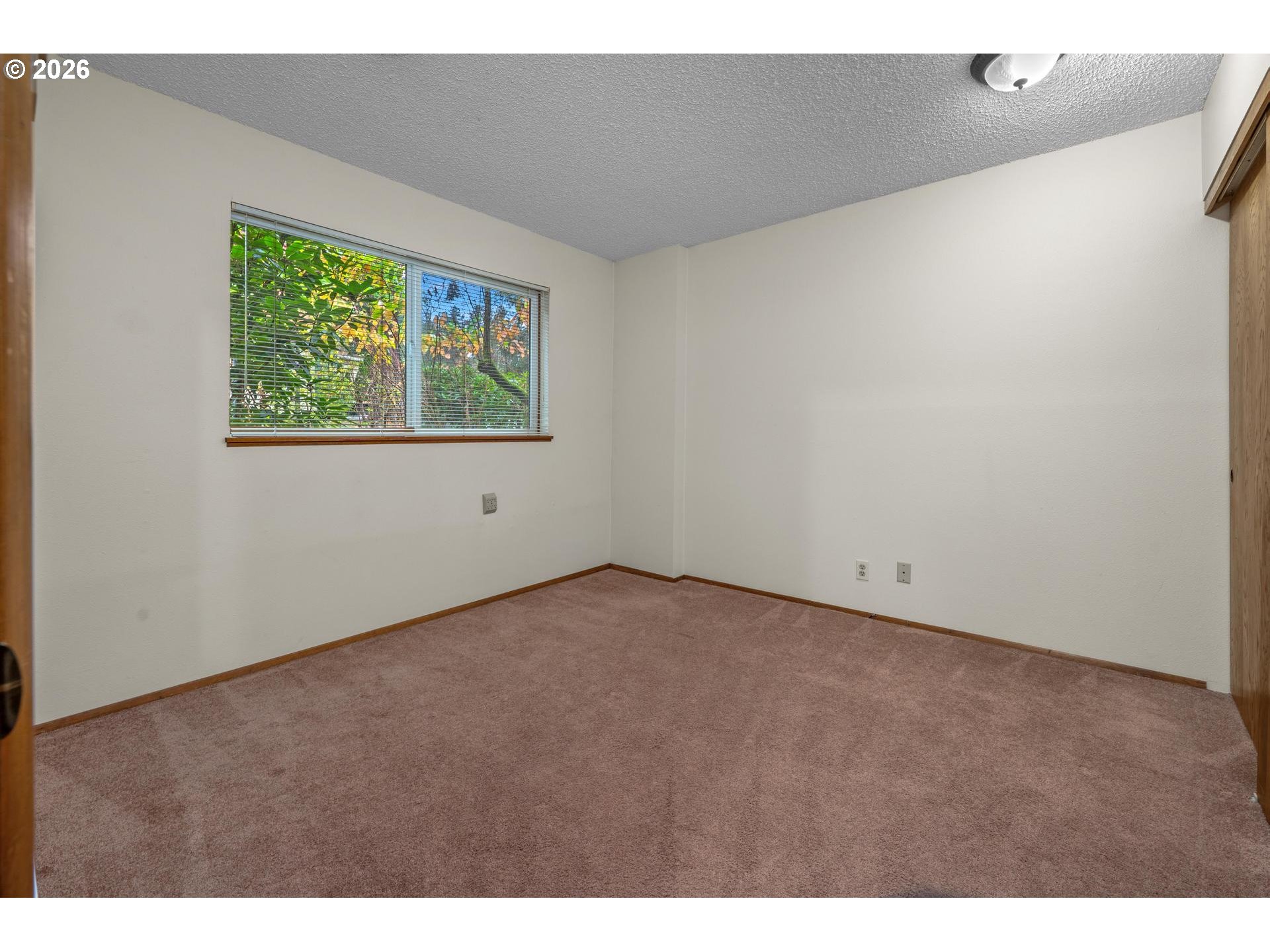 2802 Tree Top Ln Property Photo 19
