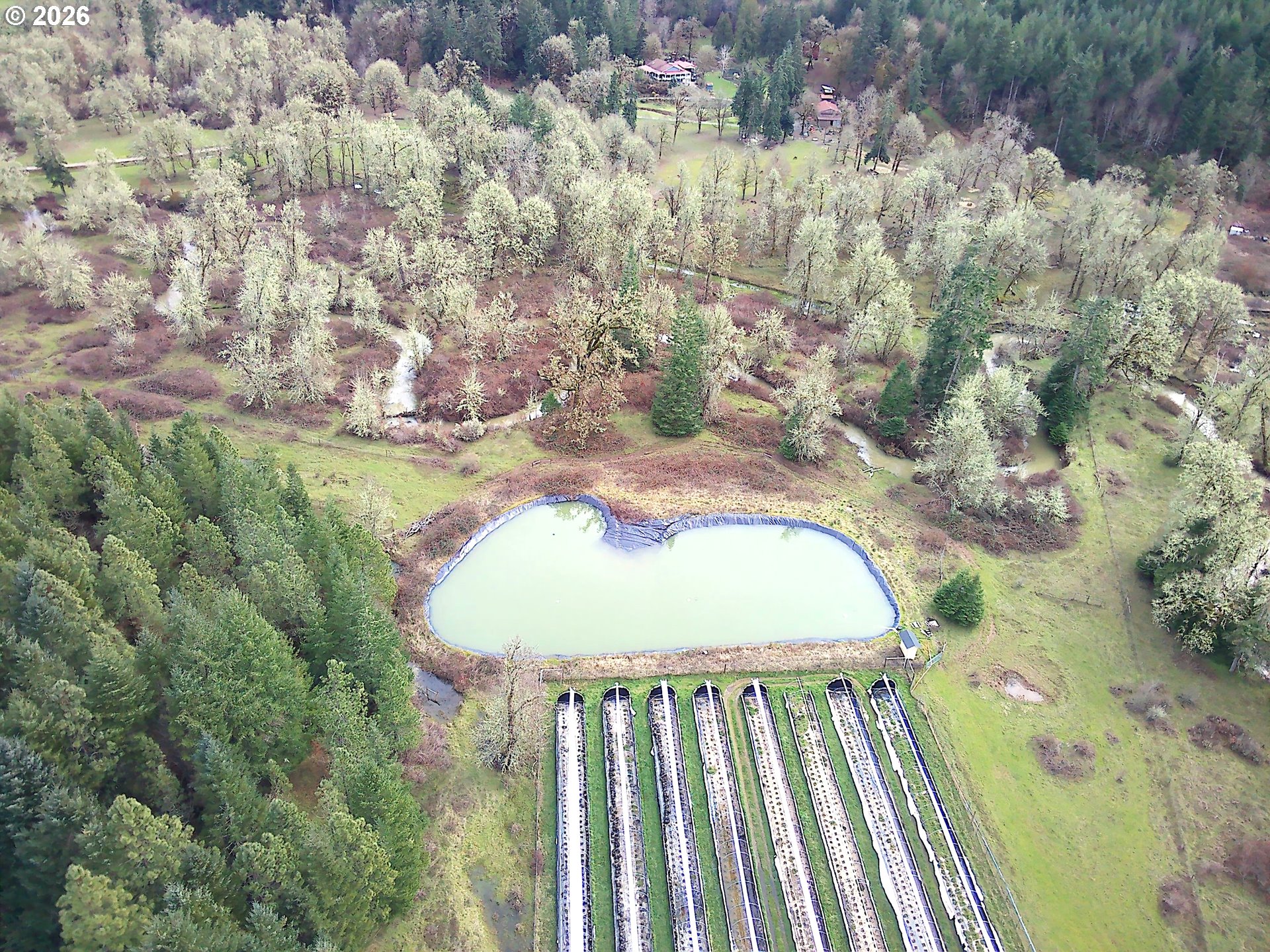 85106 Territorial Hwy Property Photo 21