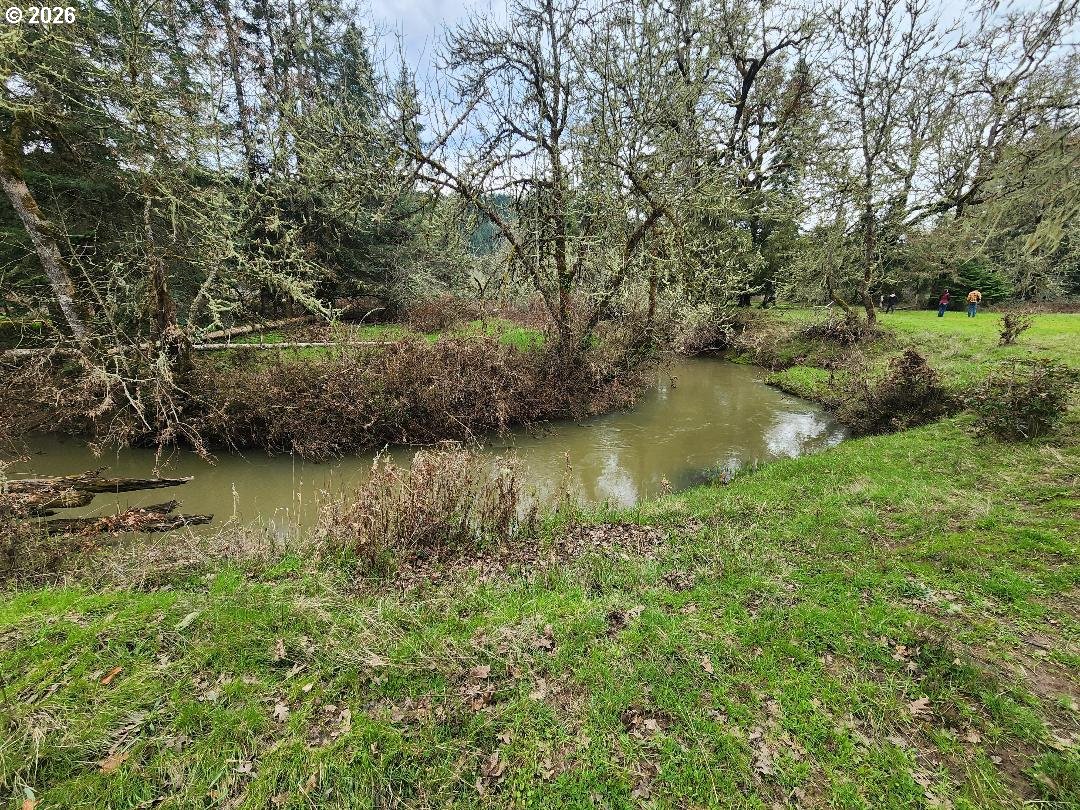 85106 Territorial Hwy Property Photo 41