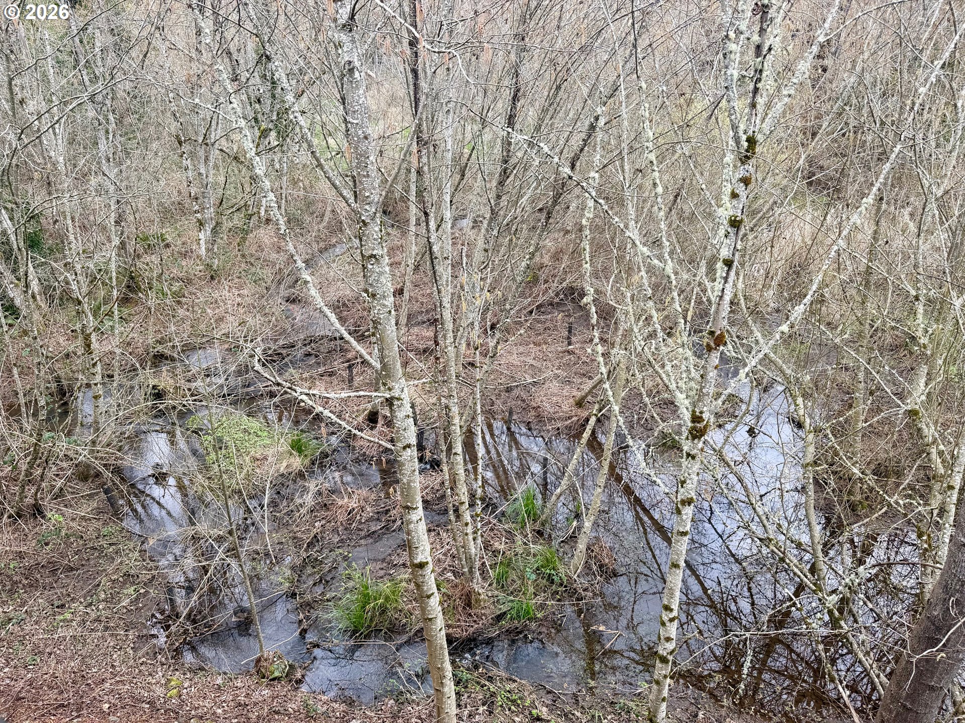 37071 Dubarko Rd 8 Property Photo 34