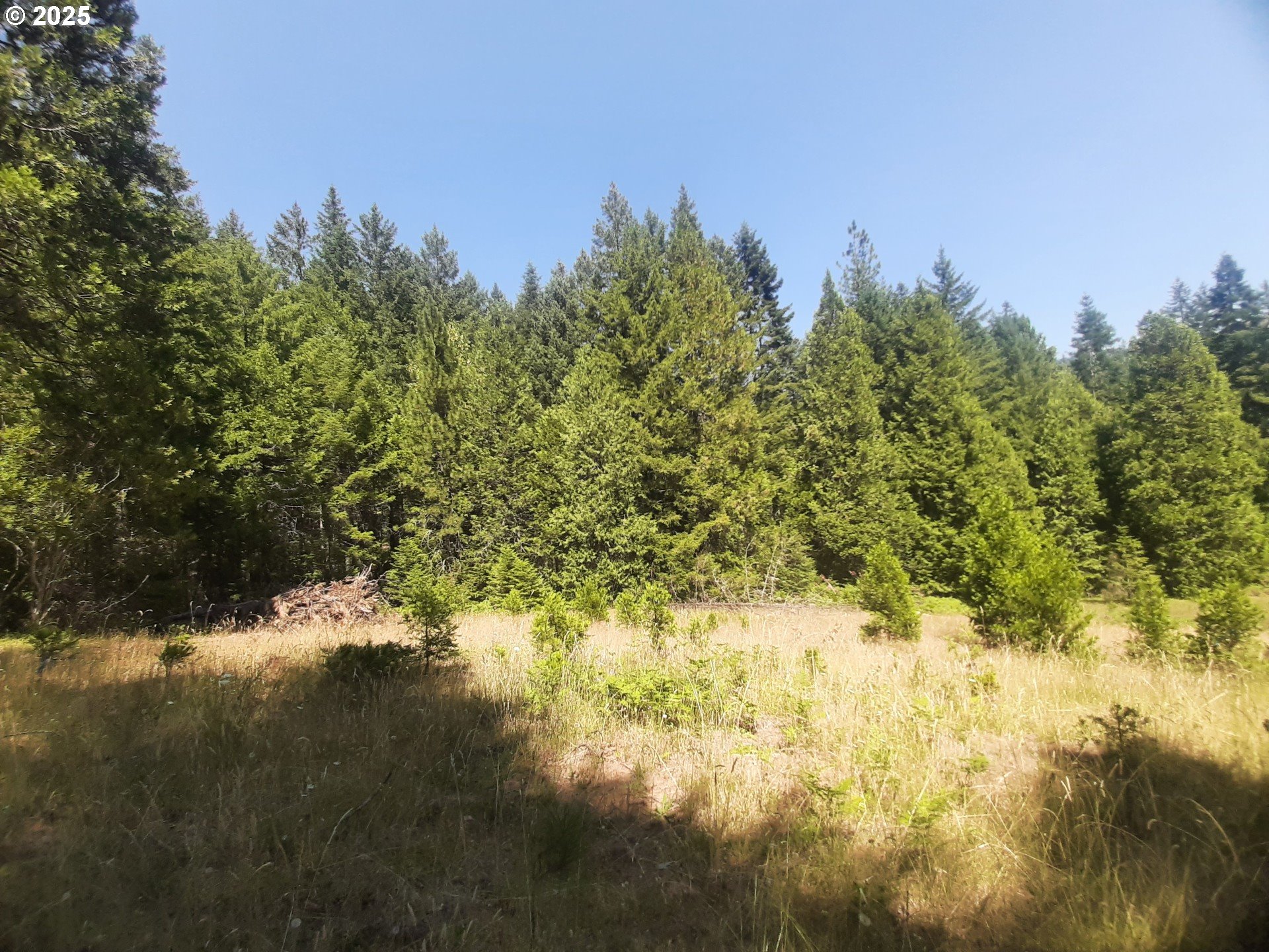 252 May Creek Rd Property Photo 6