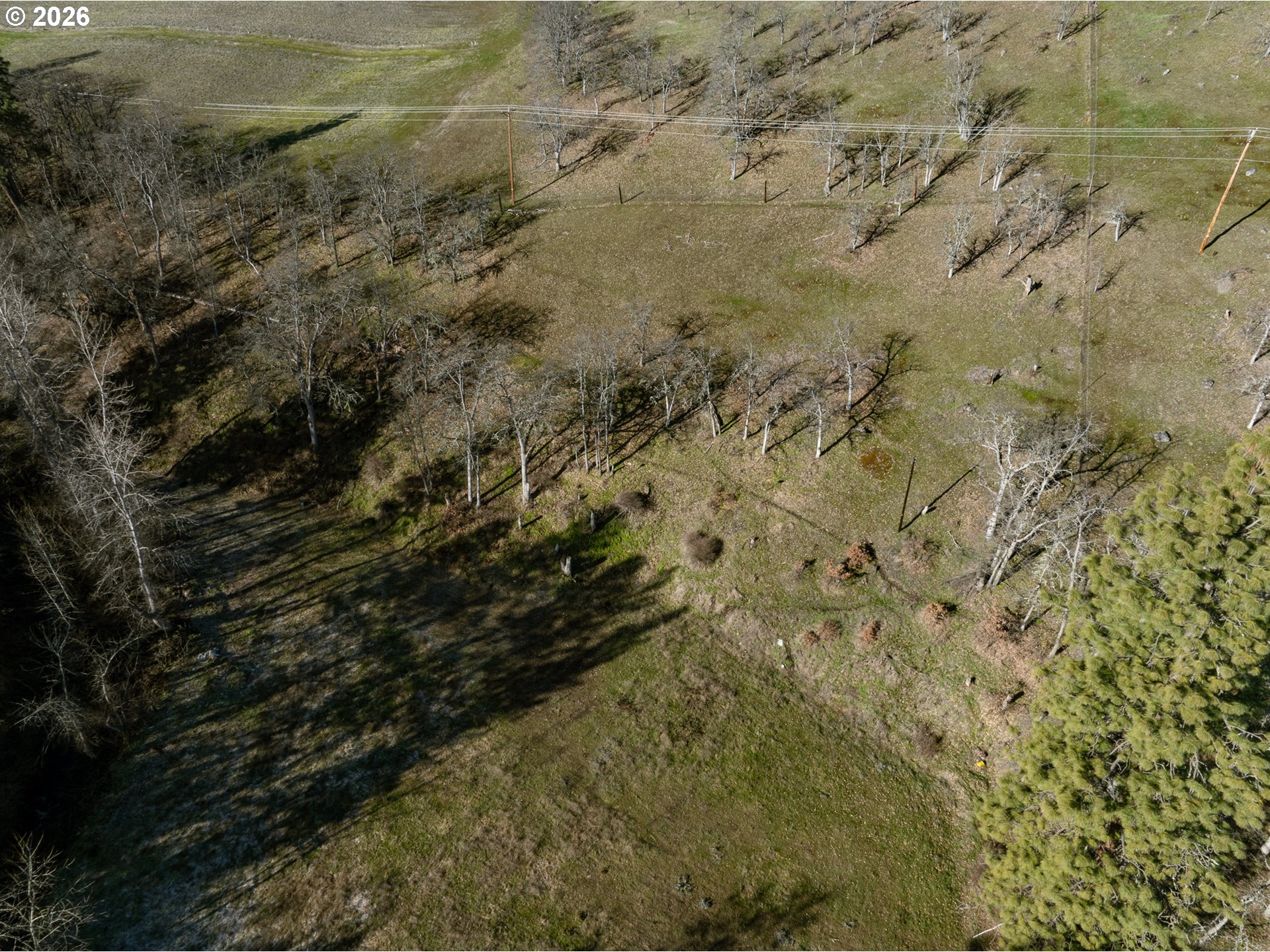 3673 Browns Creek Rd Property Photo 4
