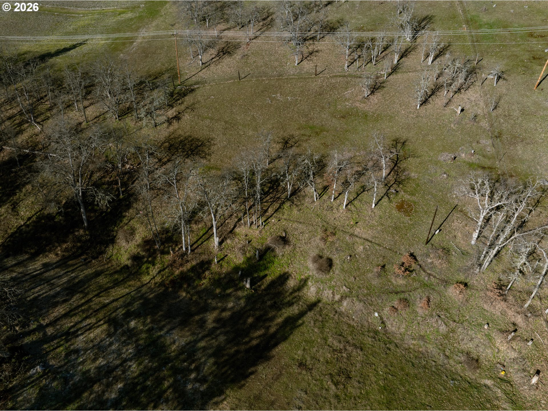3673 Browns Creek Rd Property Photo 5
