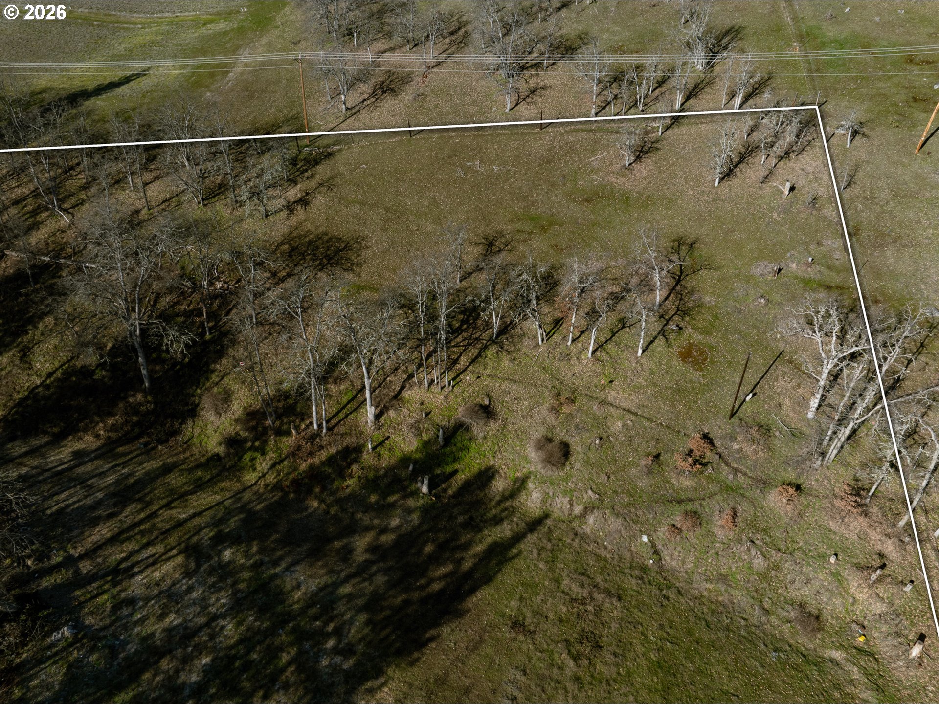3673 Browns Creek Rd Property Photo 6