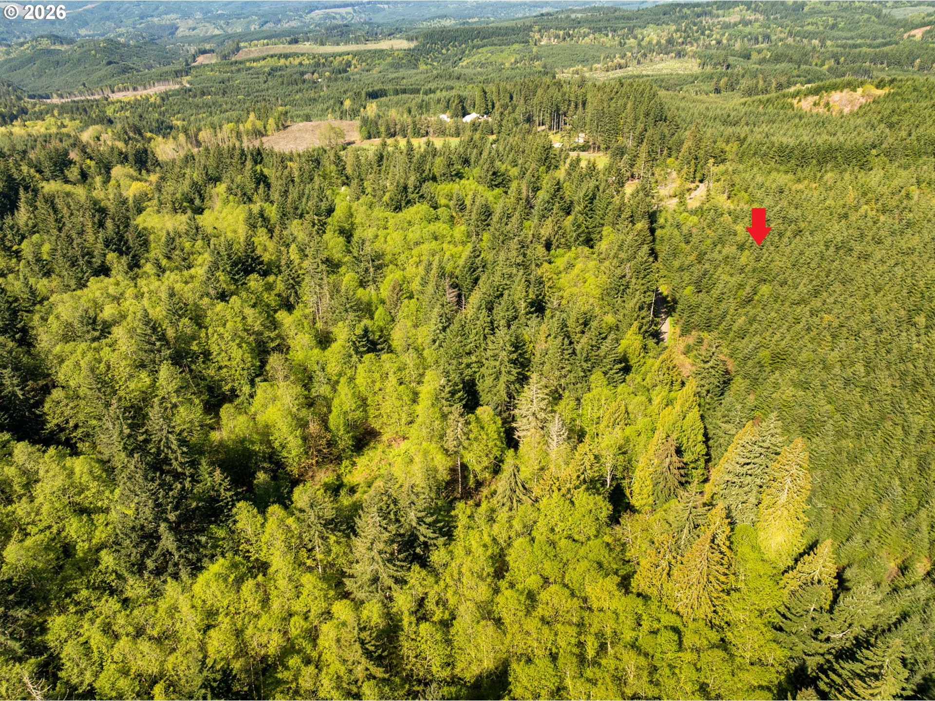 0 Nw Hidden Mountain Dr Property Photo 2