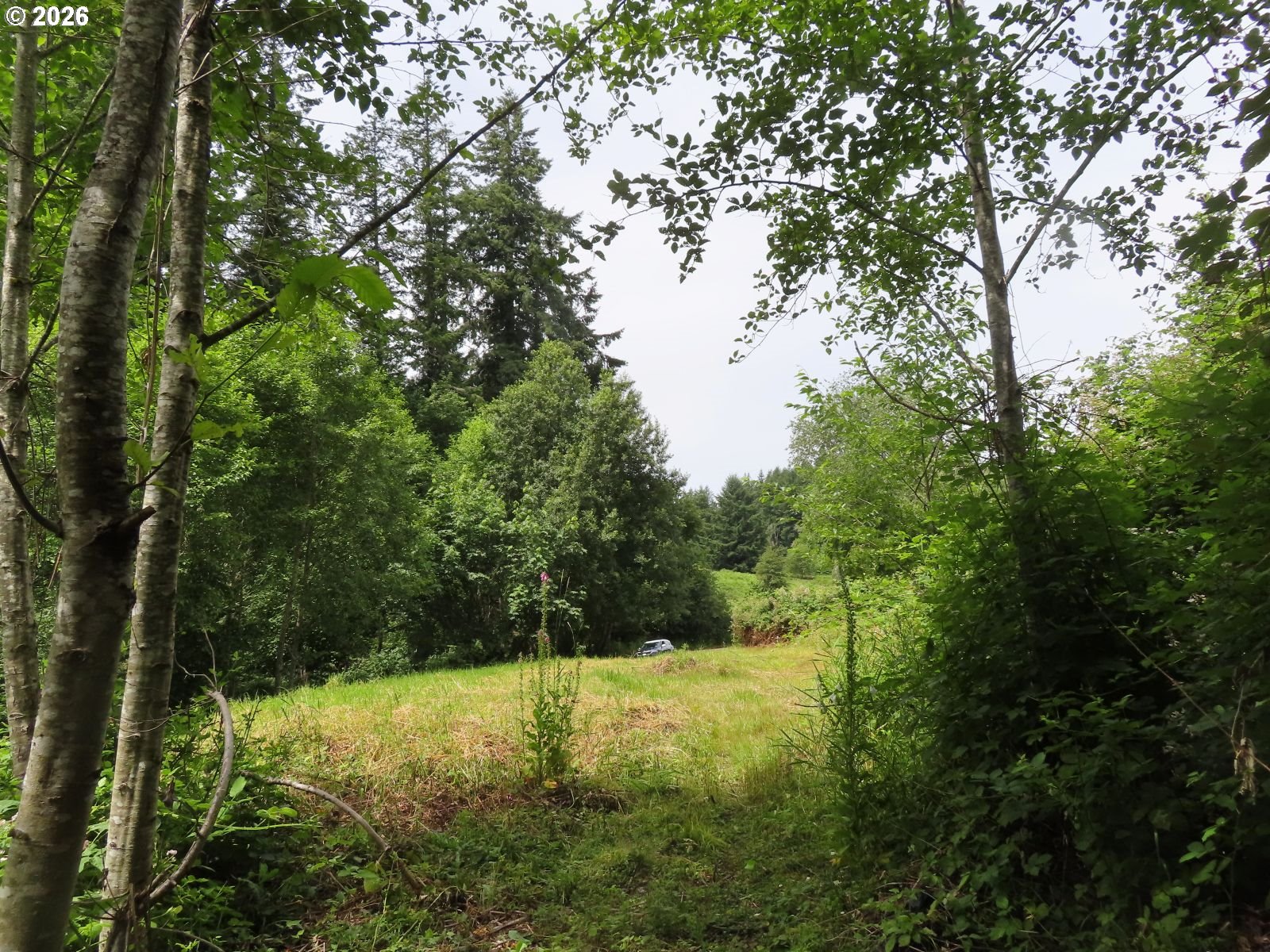 Coleman Rd Property Photo 1