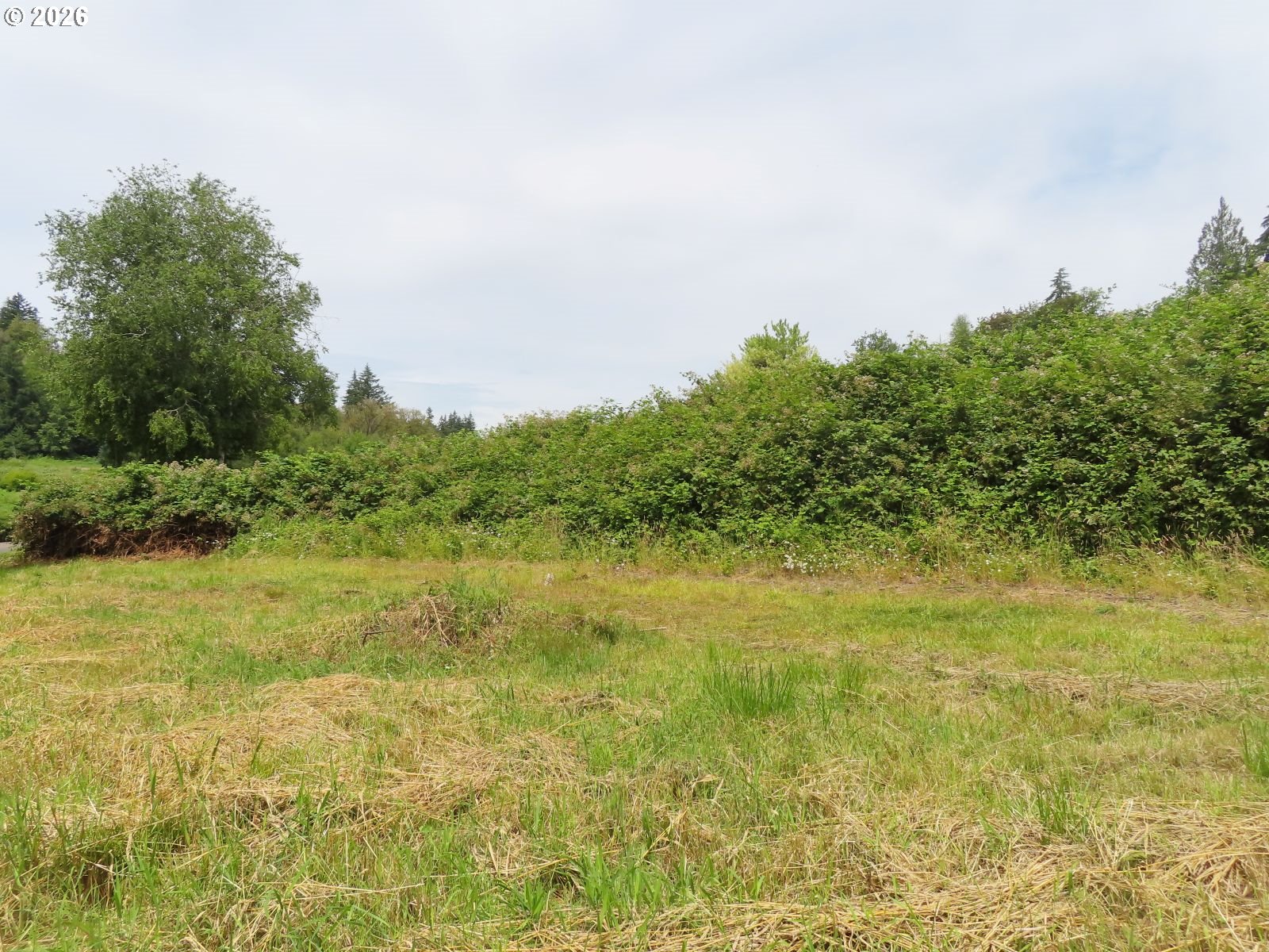 Coleman Rd Property Photo 4