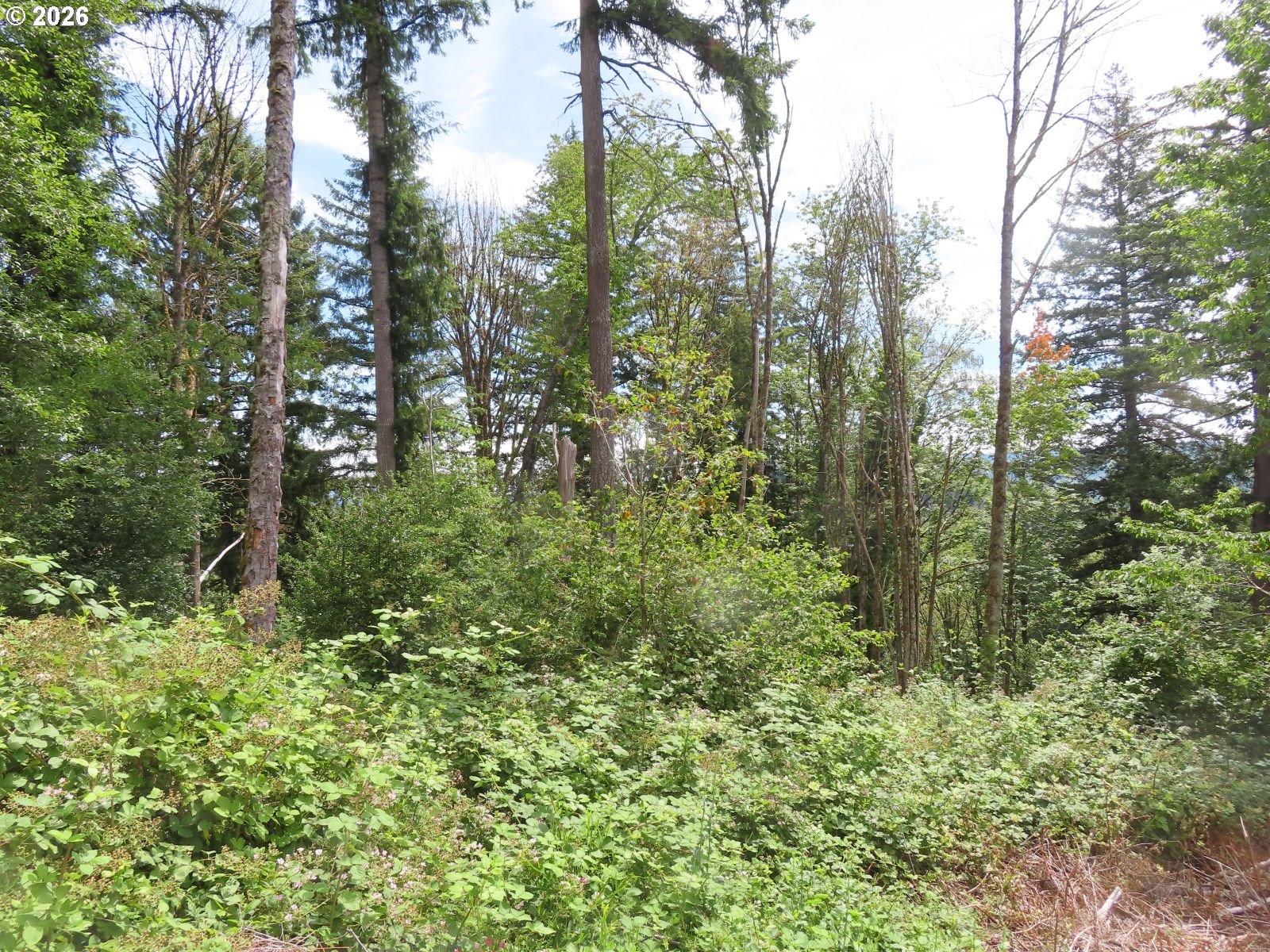 Coleman Rd Property Photo 5