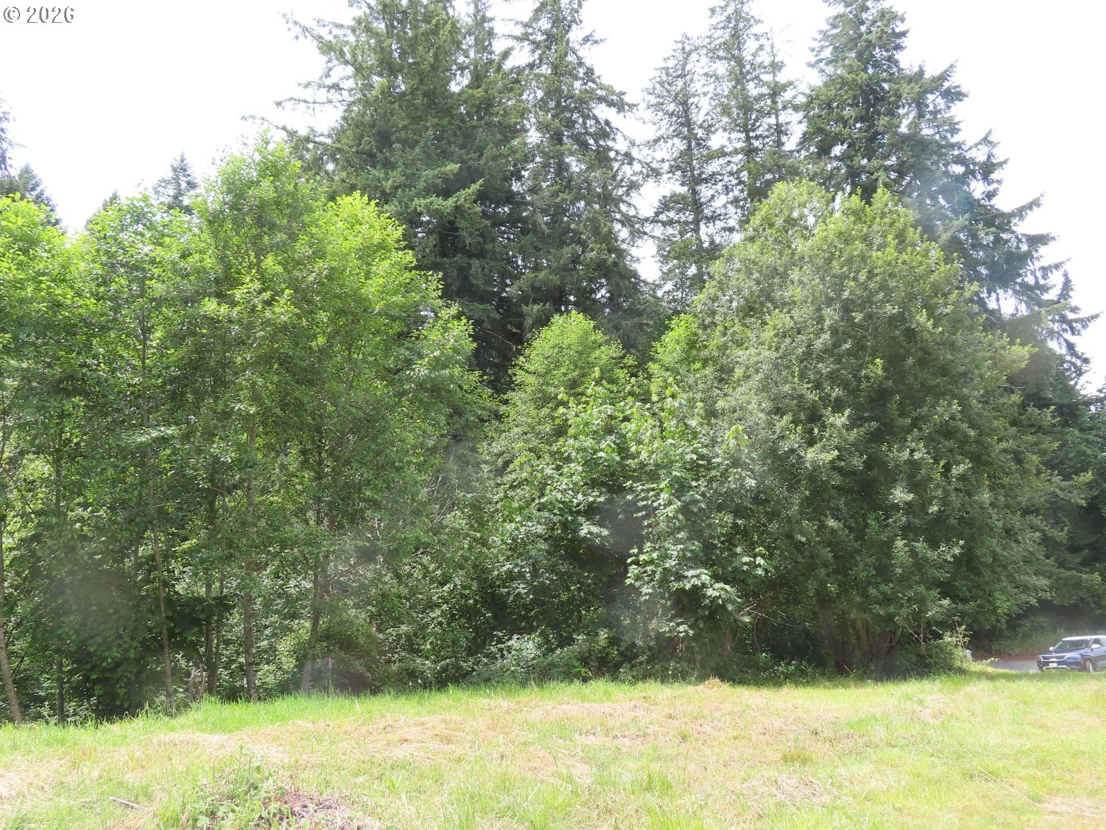 Coleman Rd Property Photo 7