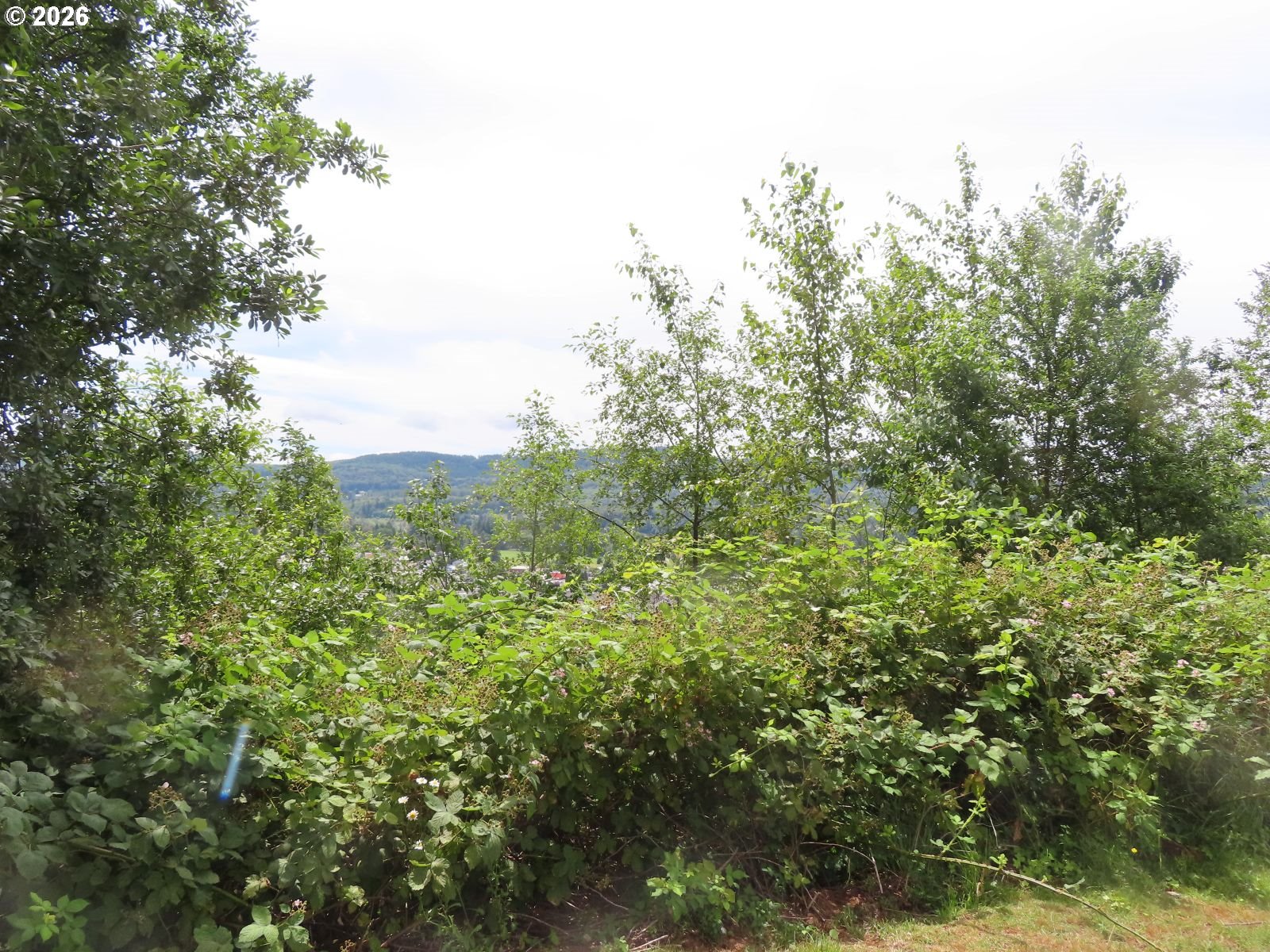 Coleman Rd Property Photo 8