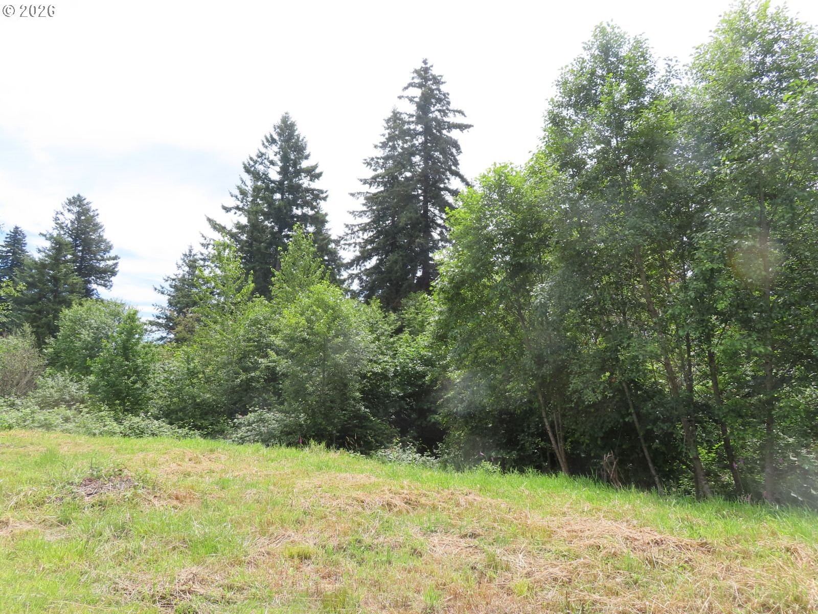Coleman Rd Property Photo 9