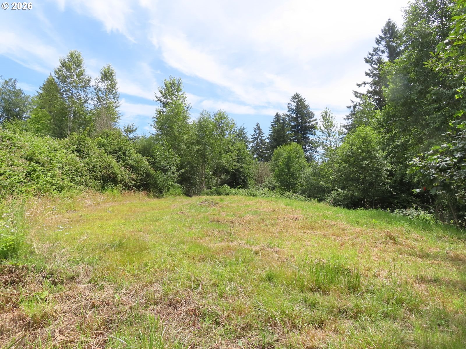Coleman Rd Property Photo 10