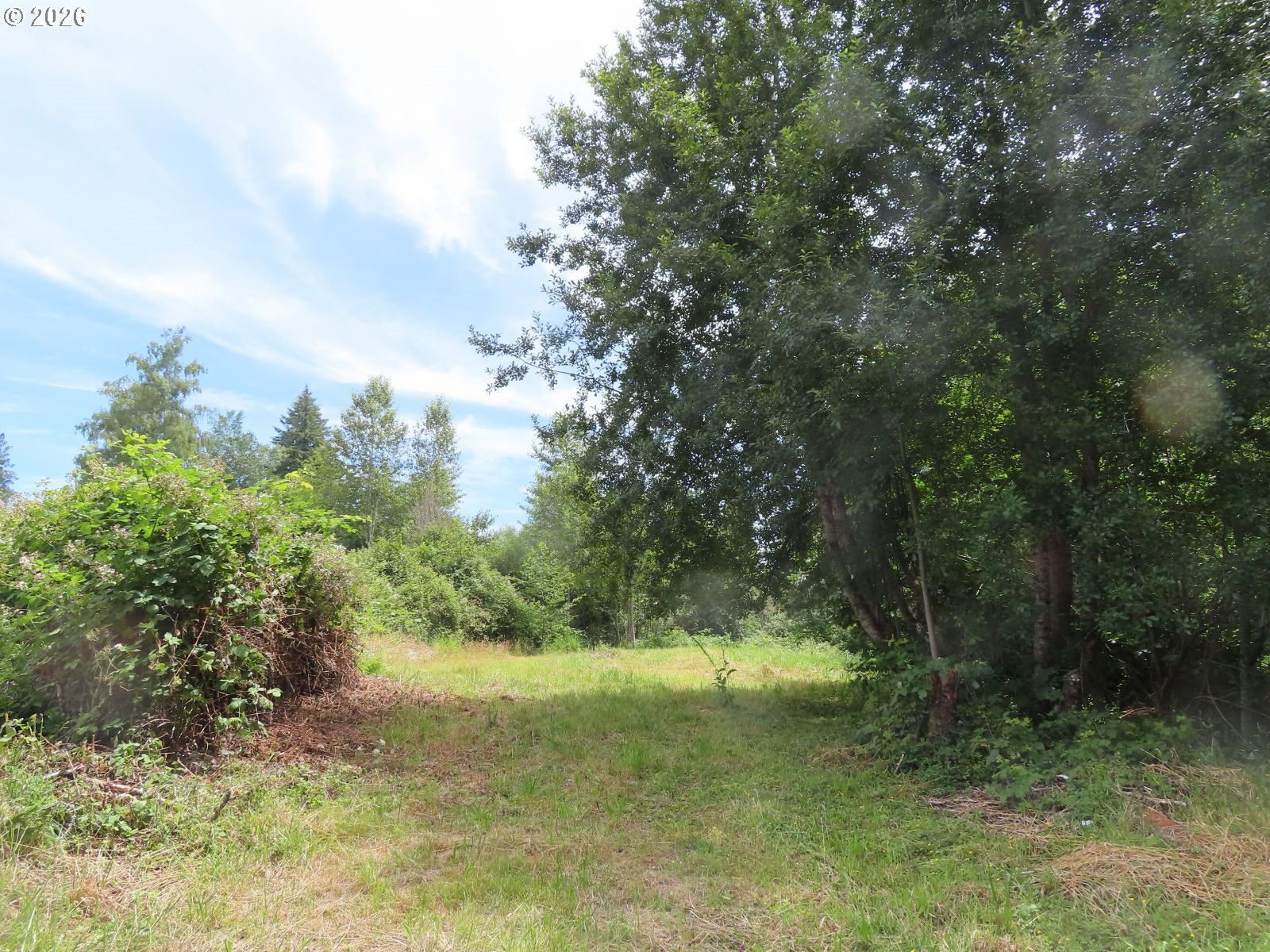 Coleman Rd Property Photo 11
