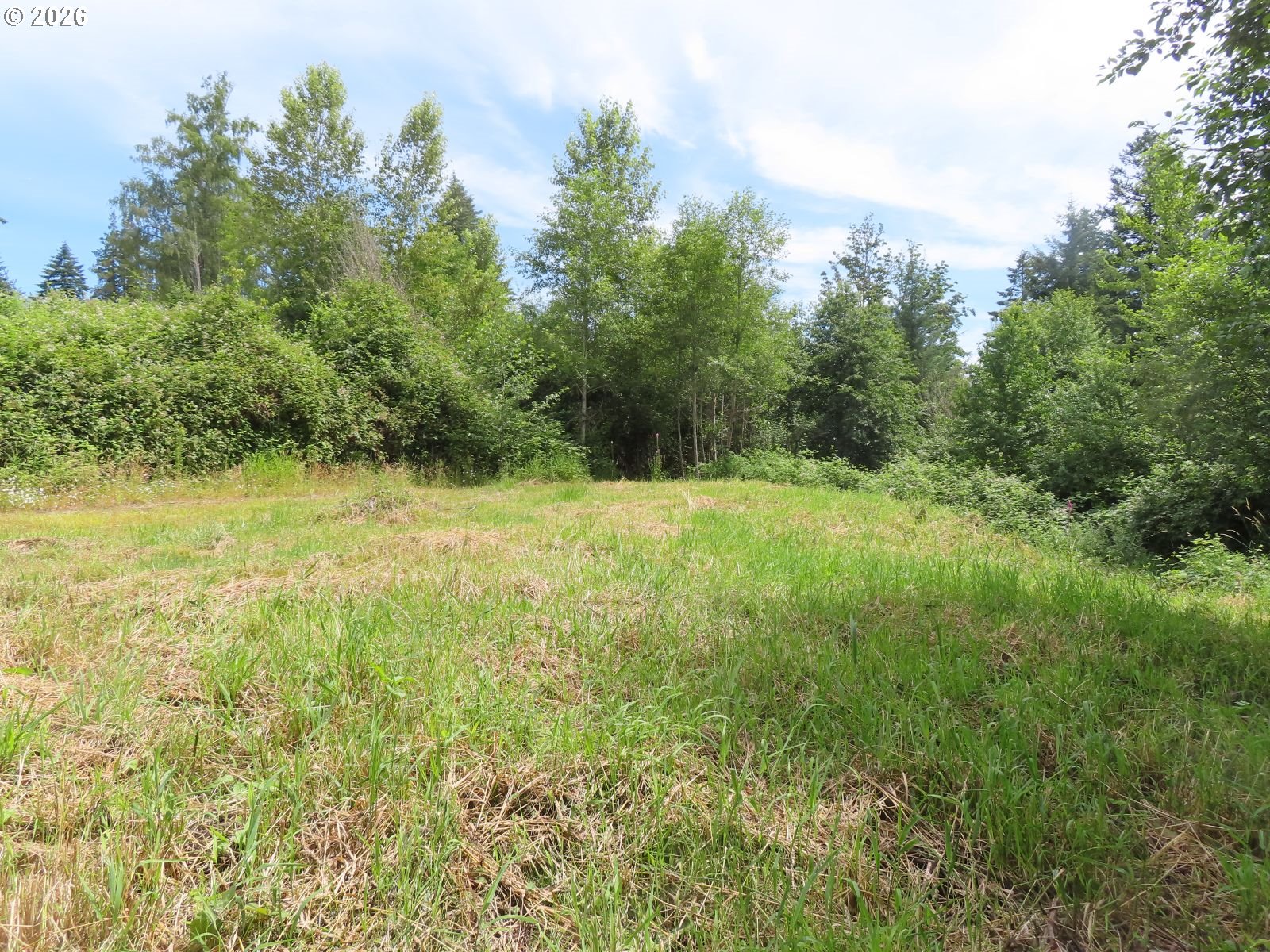 Coleman Rd Property Photo 12