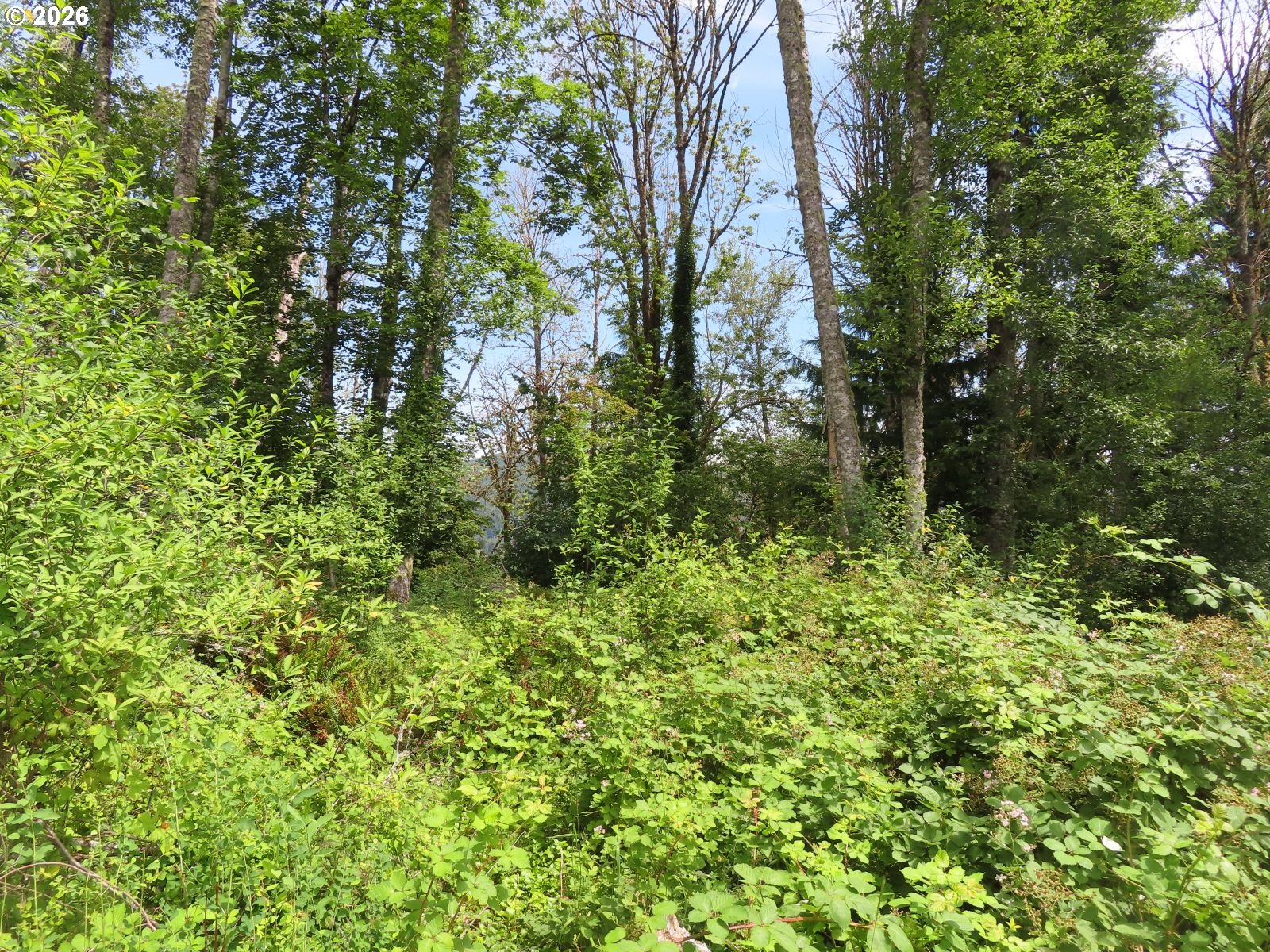 Coleman Rd Property Photo 13