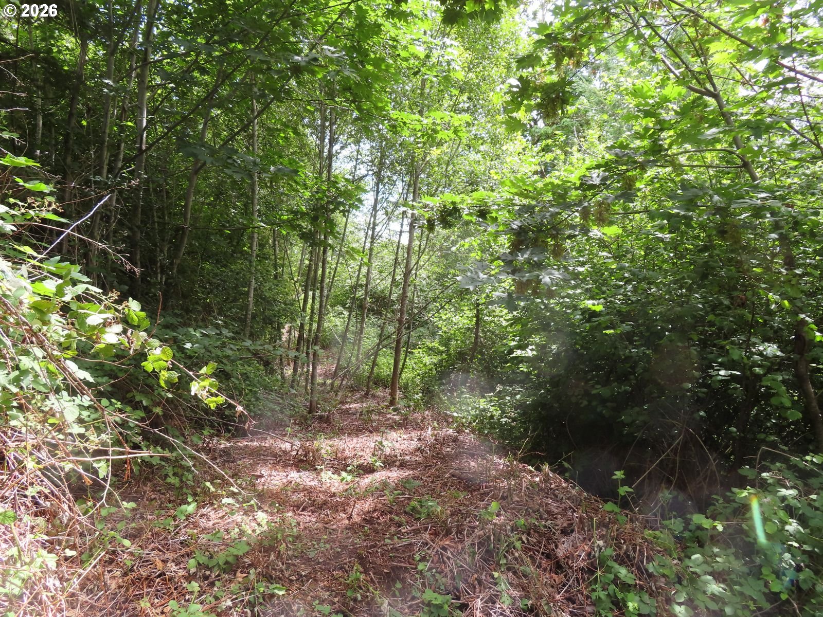 Coleman Rd Property Photo 15