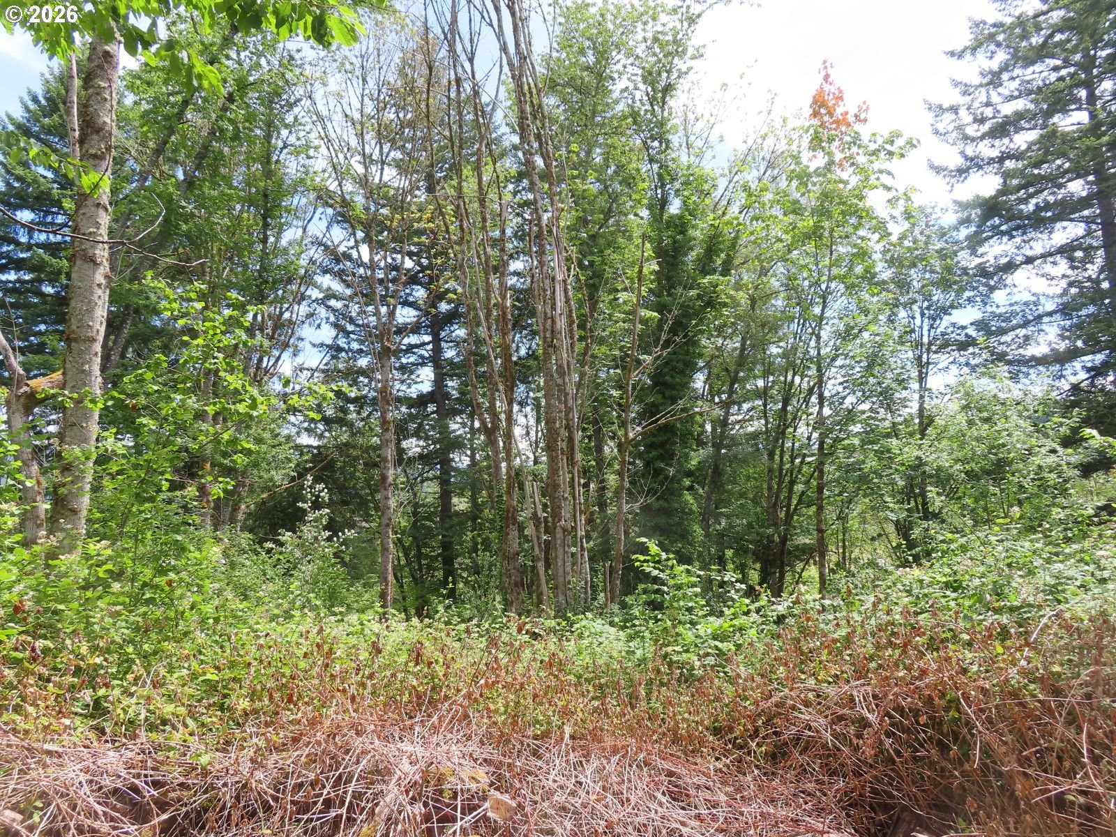Coleman Rd Property Photo 18