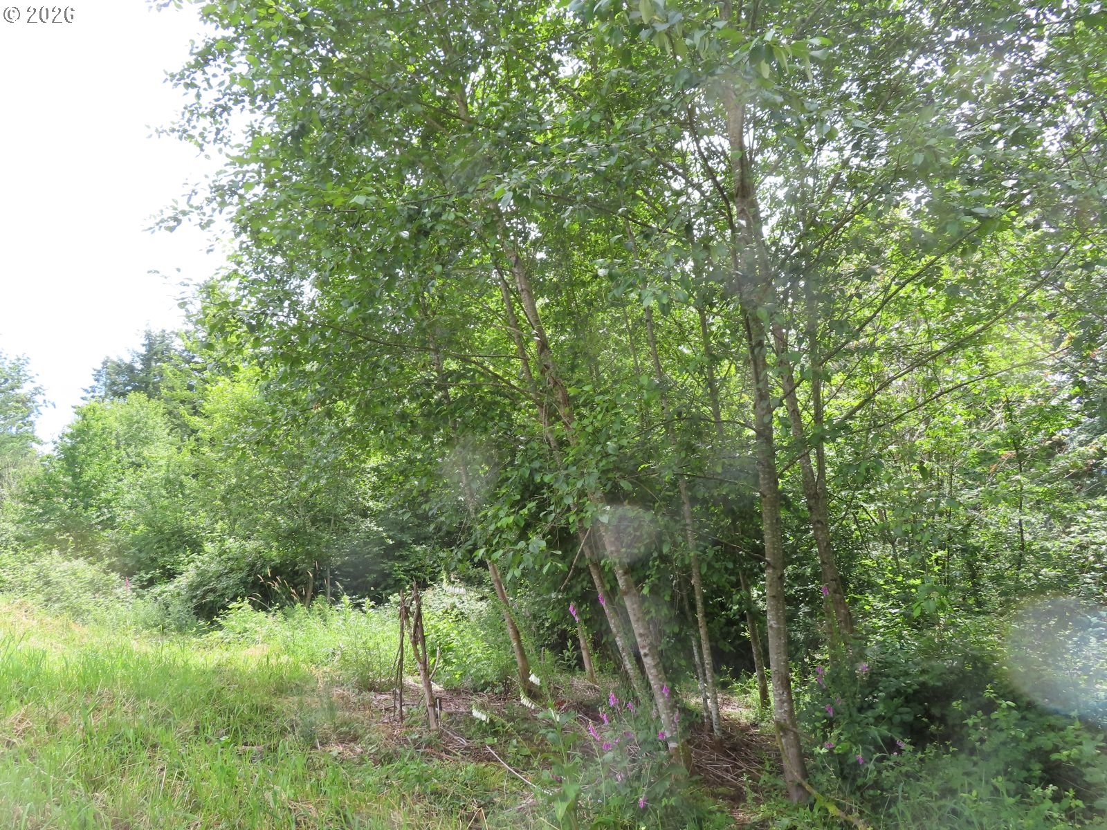 Coleman Rd Property Photo 19
