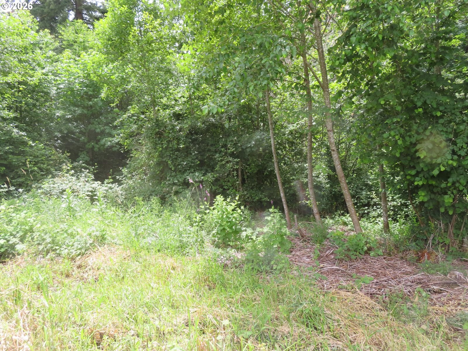 Coleman Rd Property Photo 20