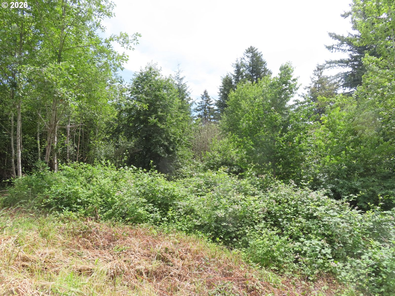 Coleman Rd Property Photo 21