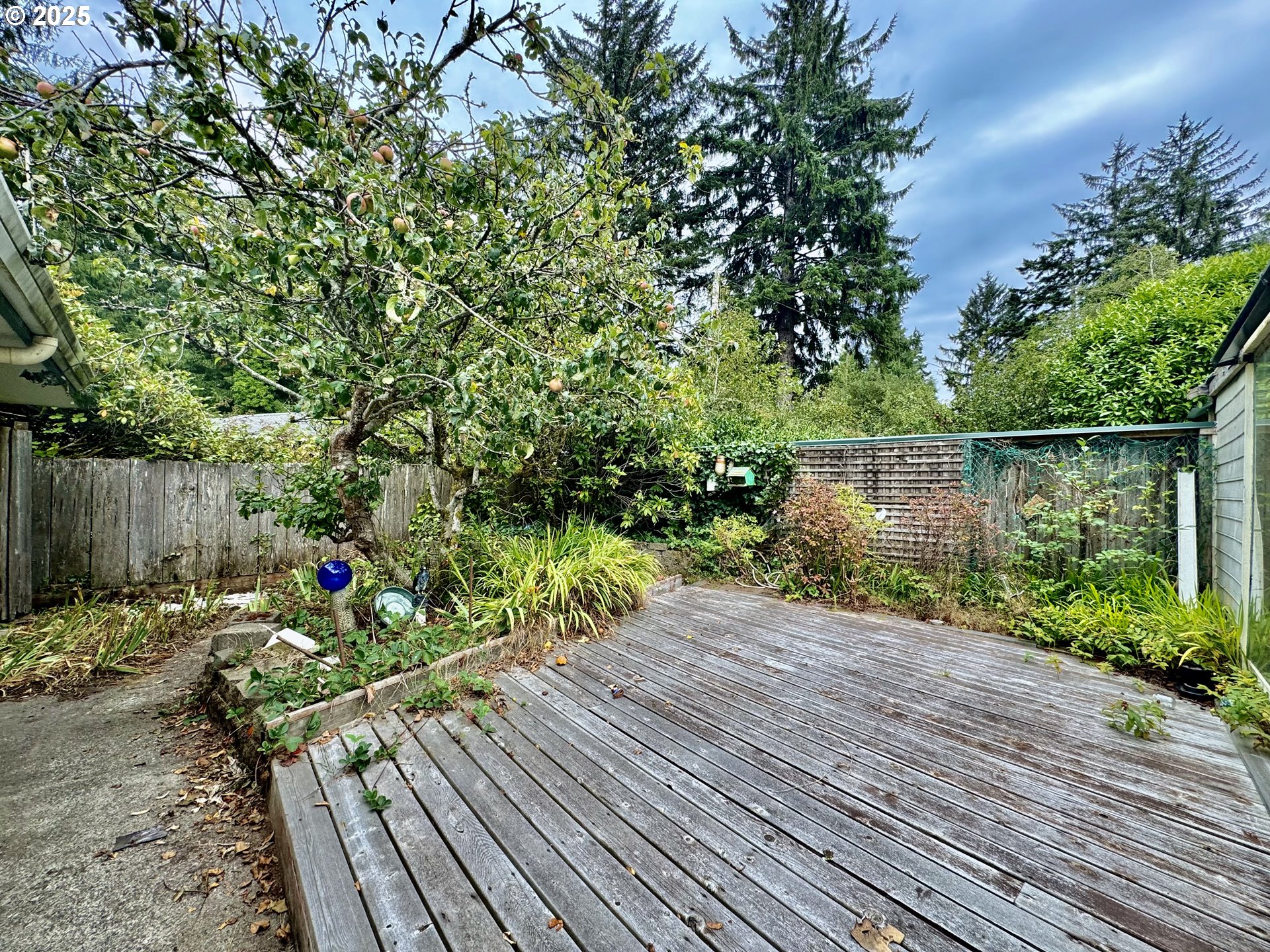 4990 Mitchell Loop Rd Property Photo 35