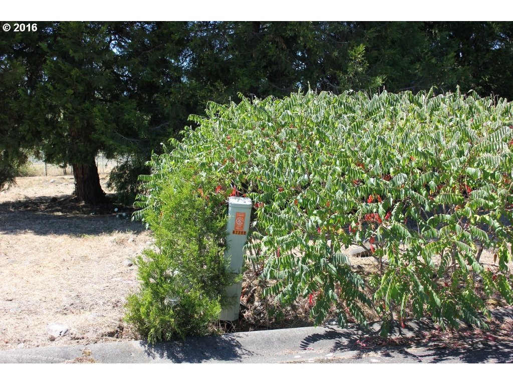 Christel Ln Property Photo 2