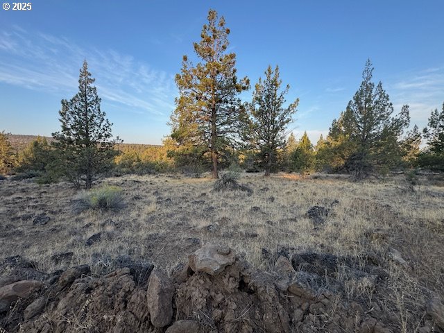 Canvasback Drive 6 Property Photo 2