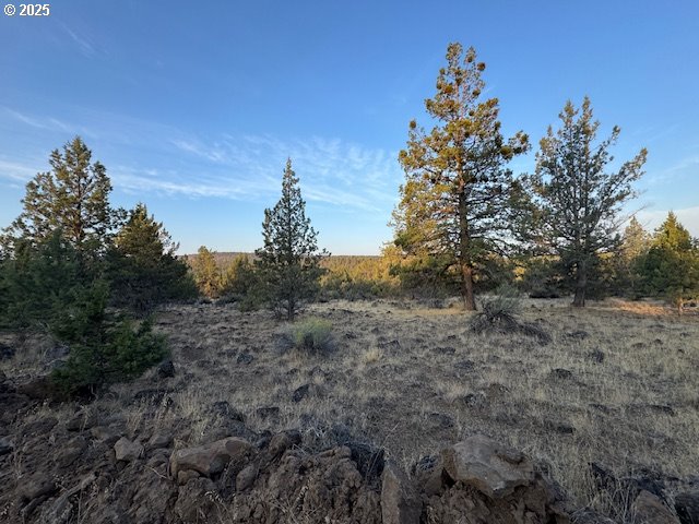 Canvasback Drive 6 Property Photo 3
