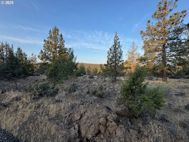 Canvasback Drive 6 Property Photo 4